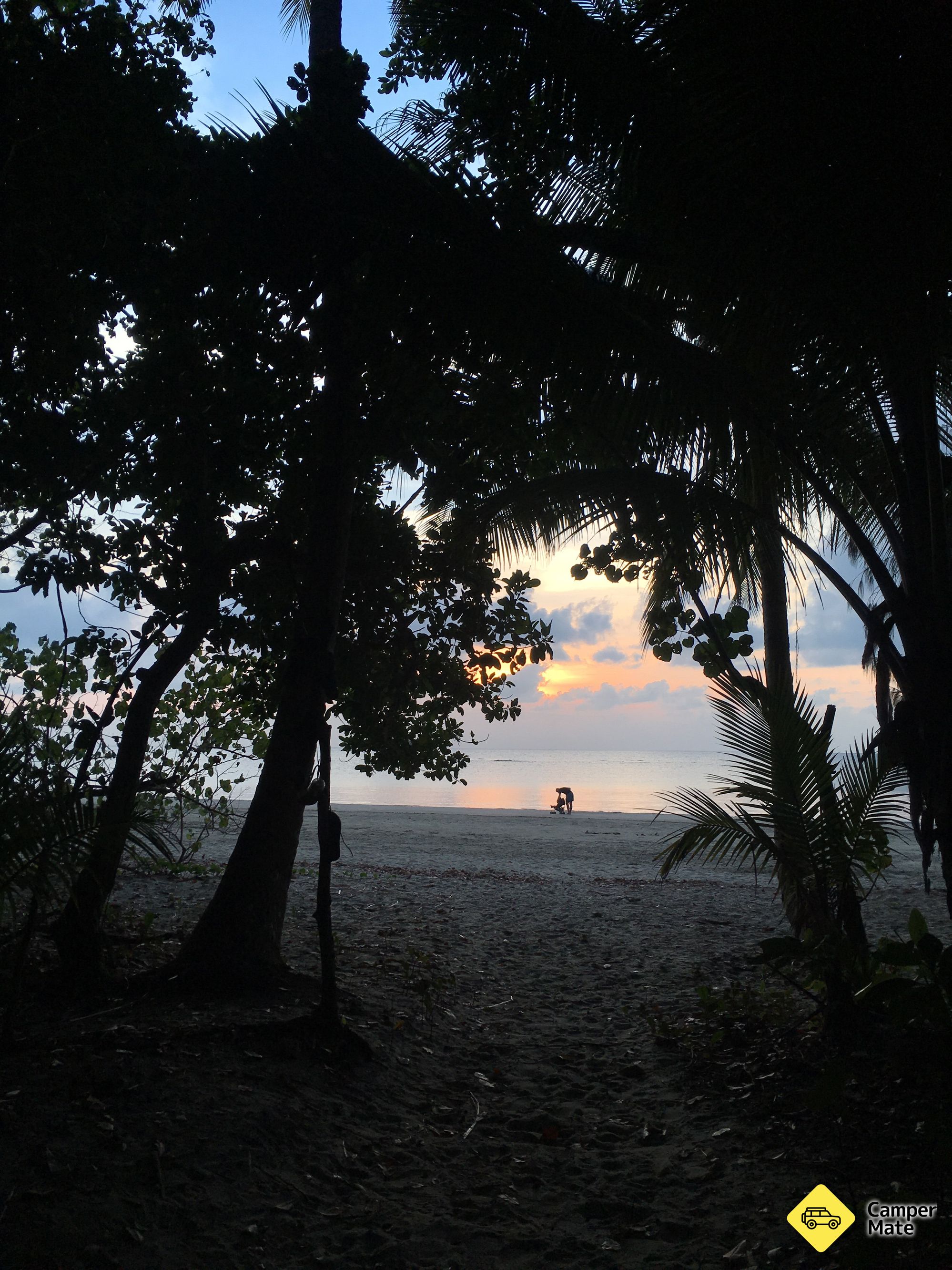 Cape Tribulation कैम्पिंग - Image 2