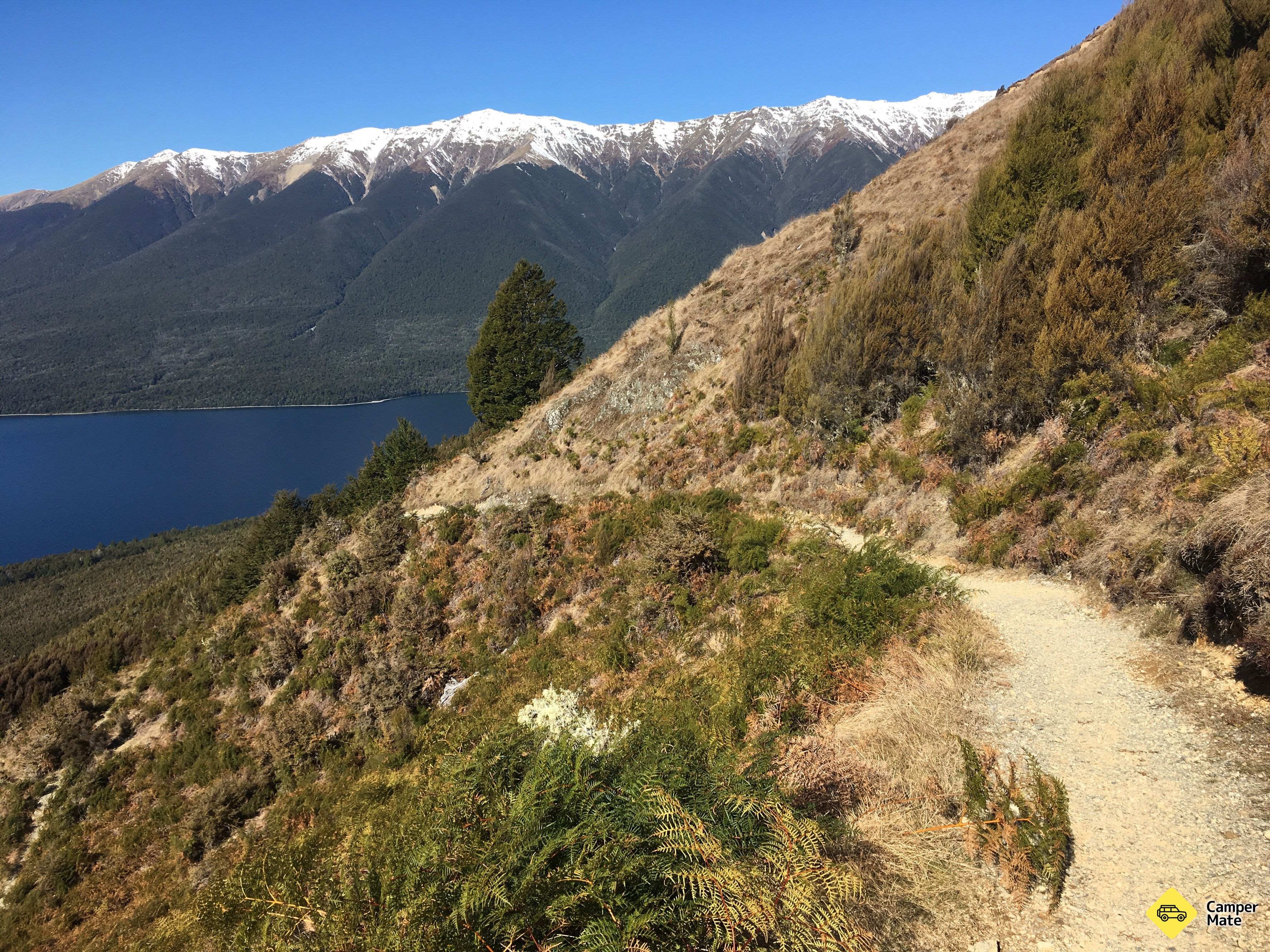 Robert Ridge Route, Nelson Tasman, Tasman, New Zealand | CamperMate ...