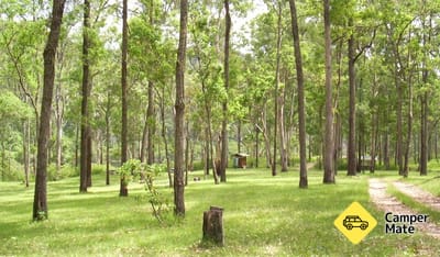 Nymboida नदी कैम्पग्राउंड