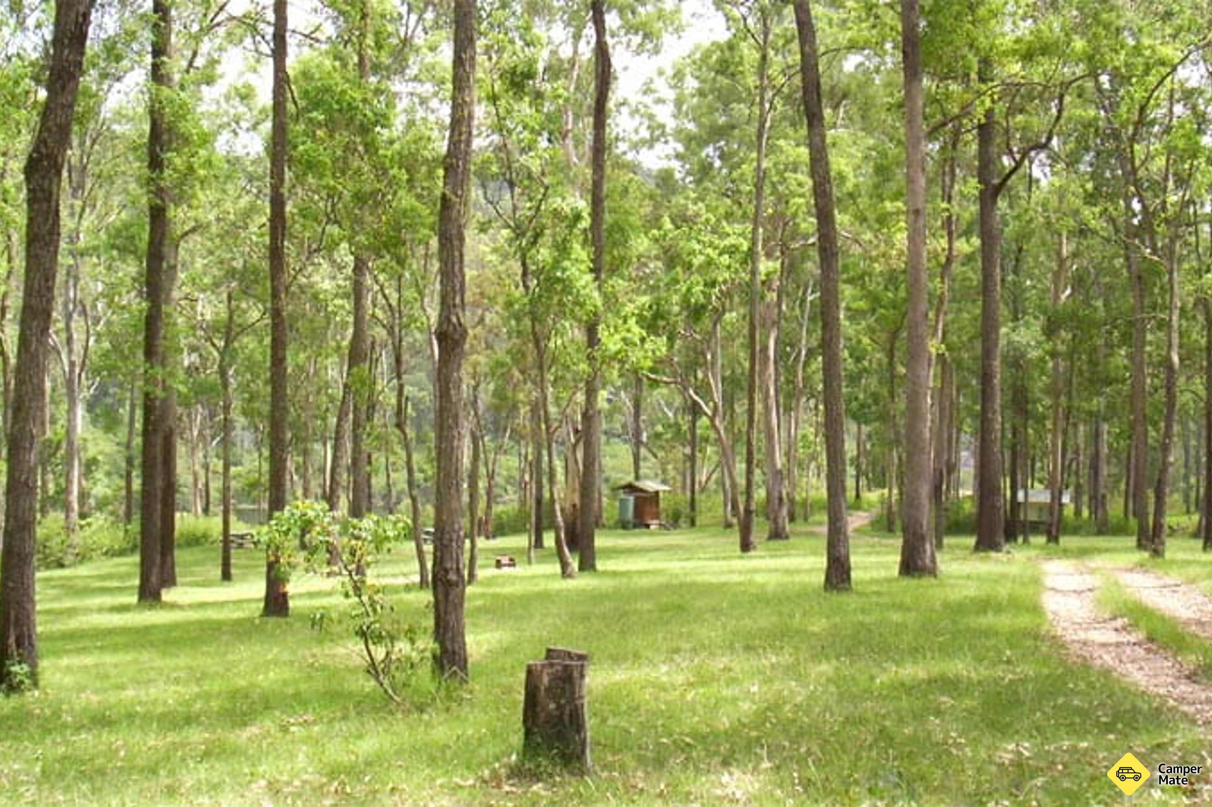 Nymboida नदी कैम्पग्राउंड