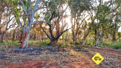 Miliyana Campground