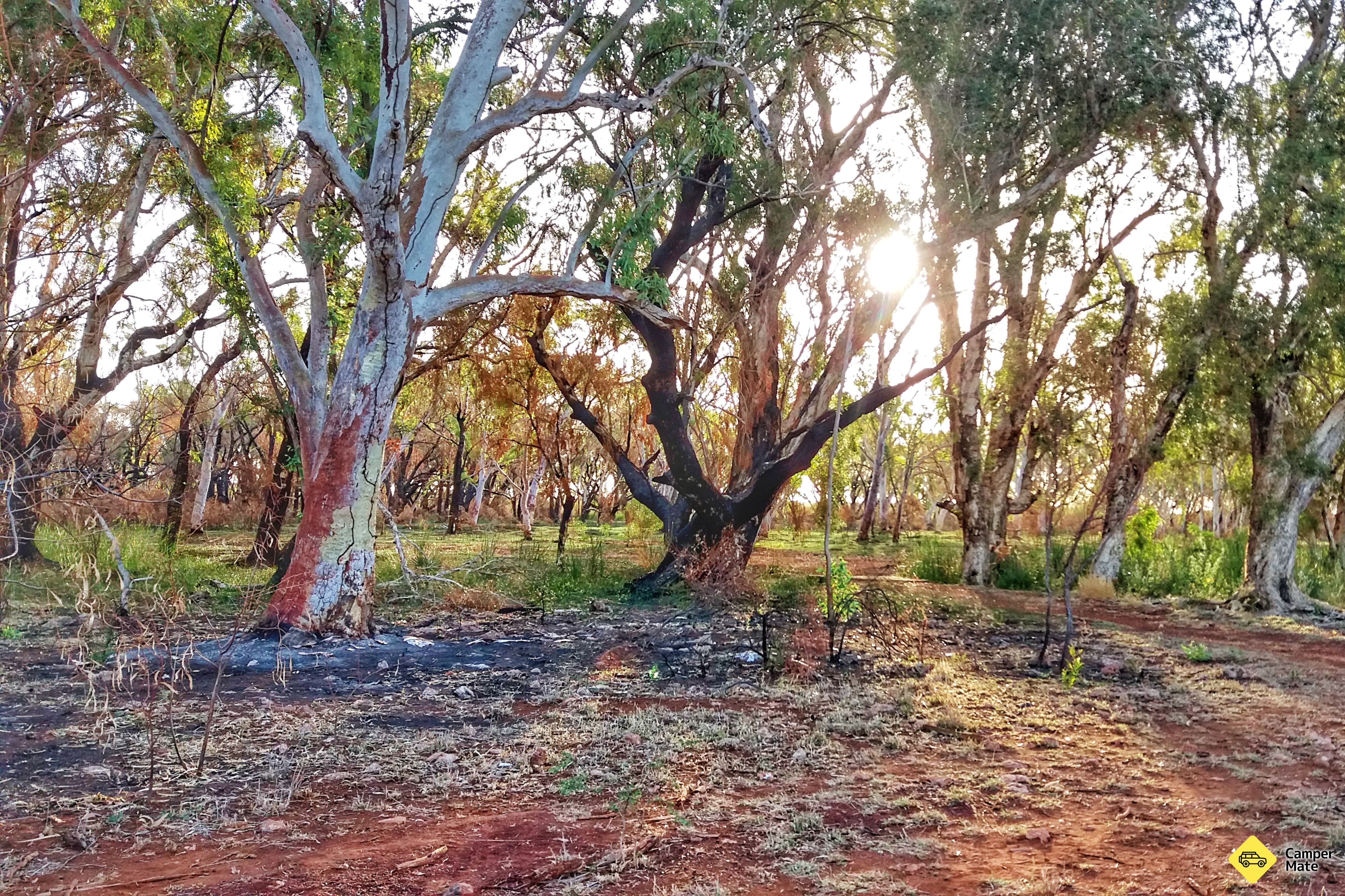 Miliyana Campground