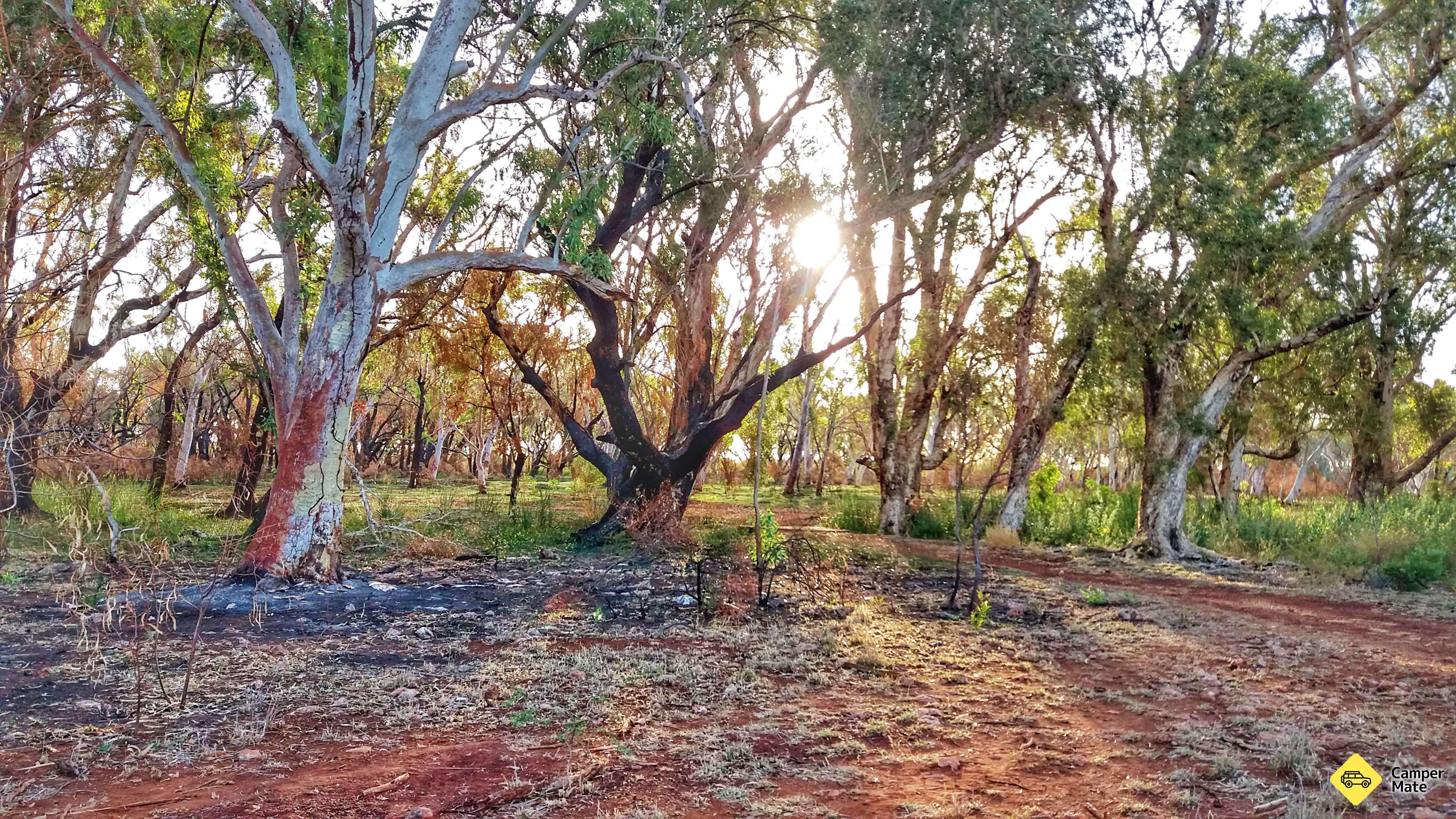 Miliyana Campground