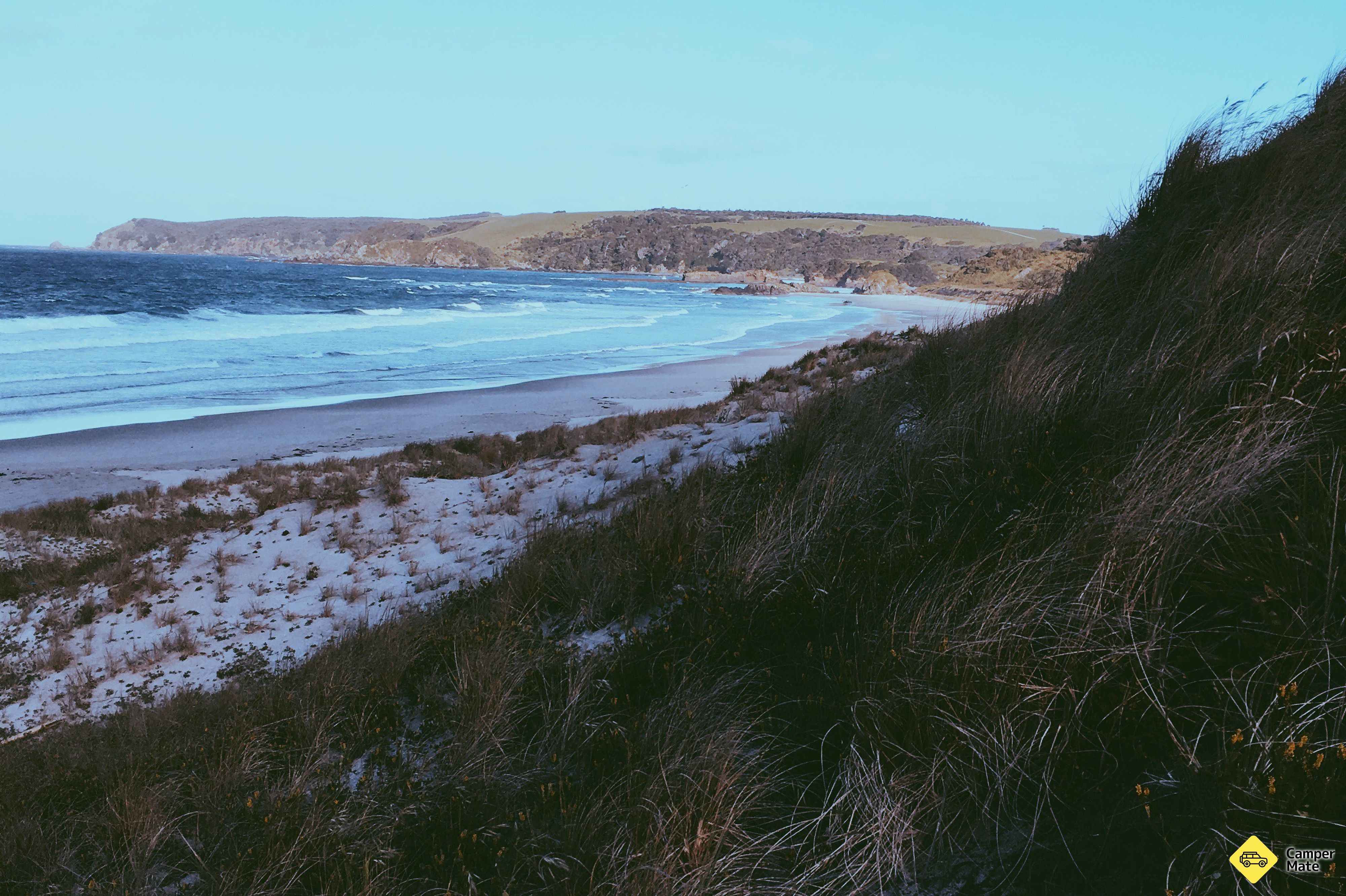 Tawharanui Campground - Image 2