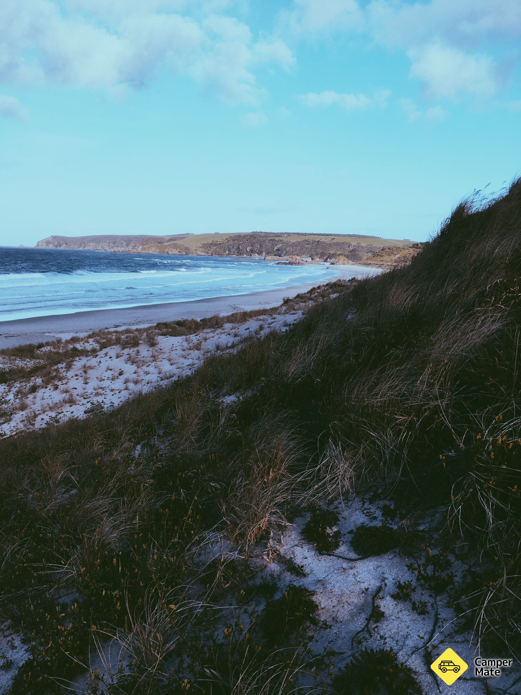 Tawharanui Campground - Image 2