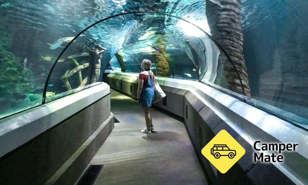 Lähellä kohdetta Sea Life Sunshine Coast
