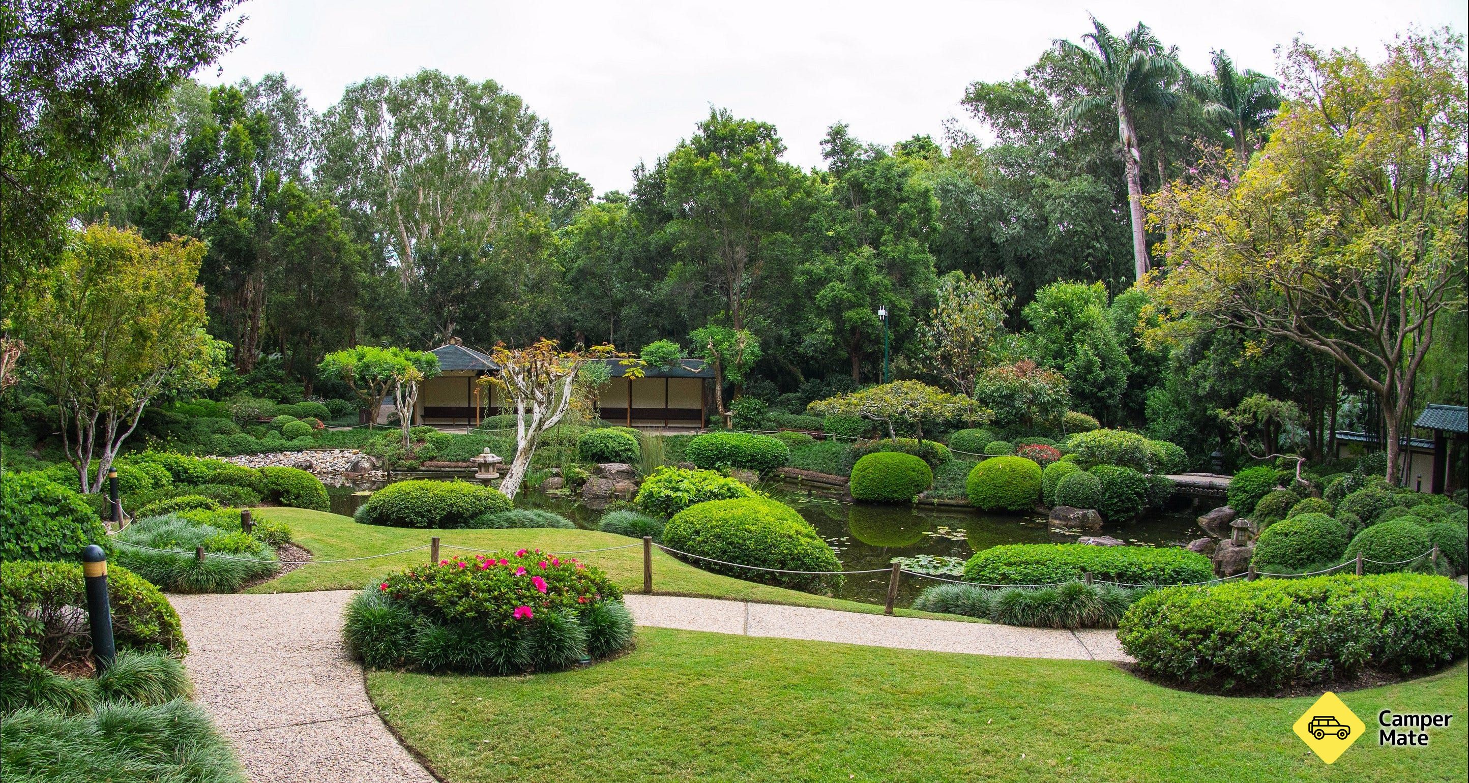 Brisbane Botanic Gardens Mount Coot-tha - Image 3
