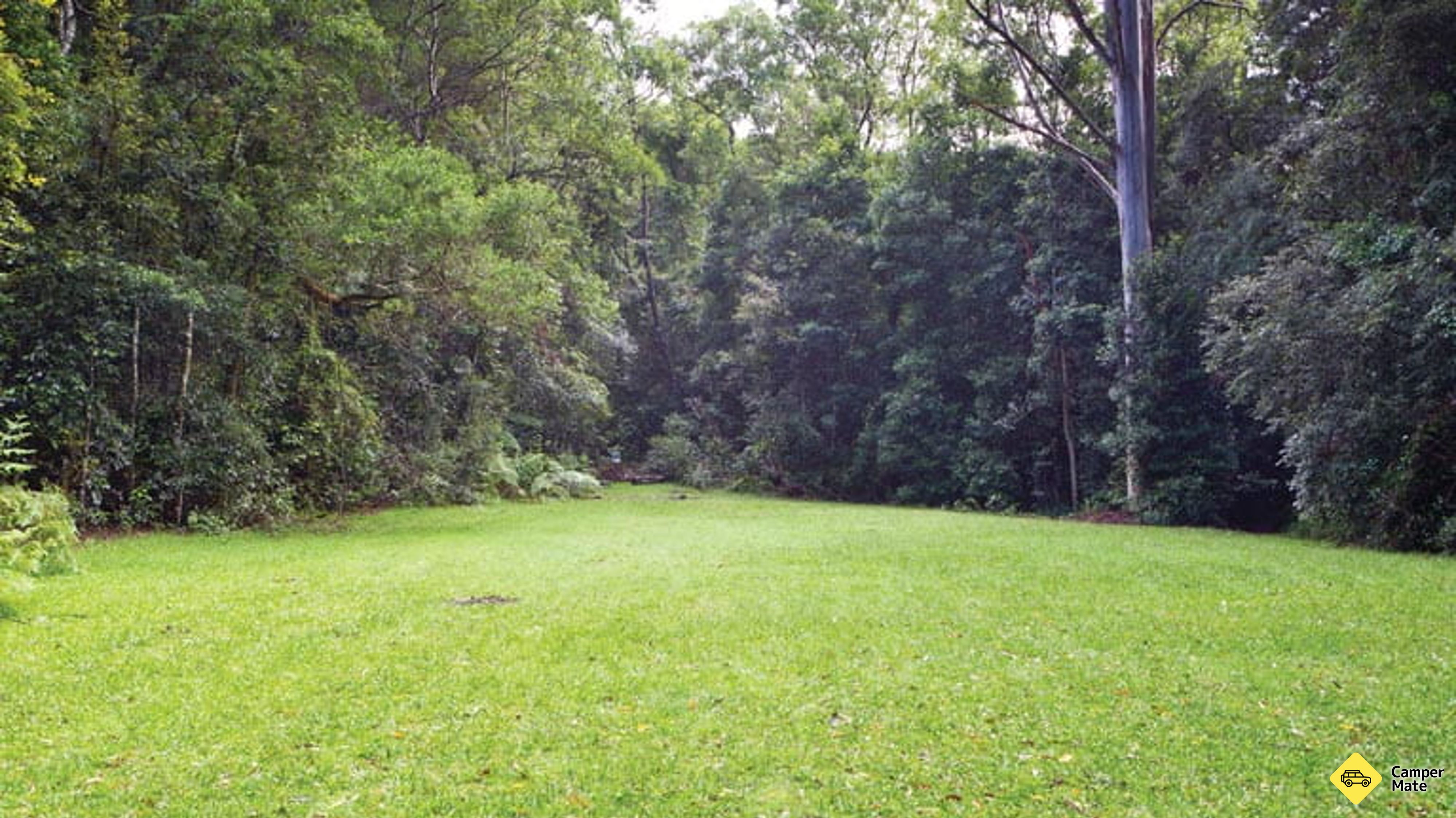 Mann River Caravan Park photo 3