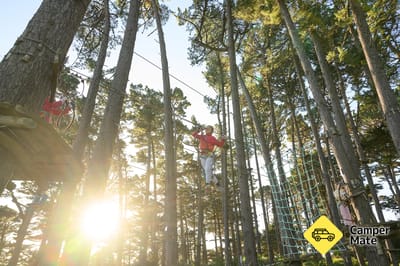 Adrenalin Forest - Wellington