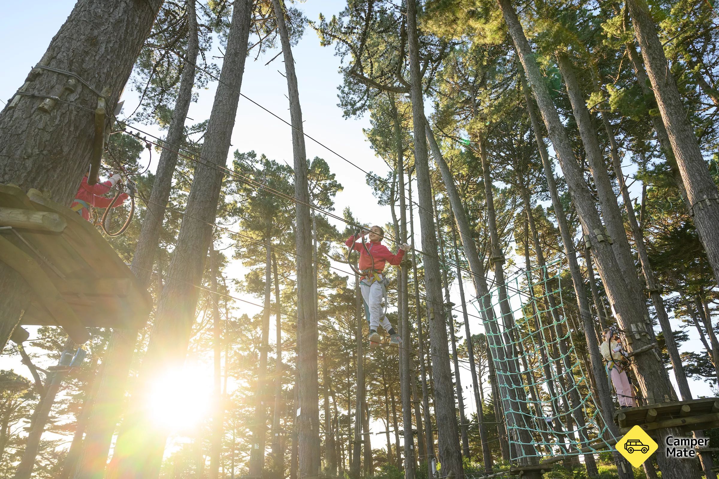 Adrenalin Forest - Wellington