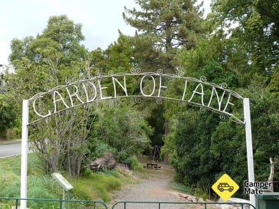 Garden Of Tane