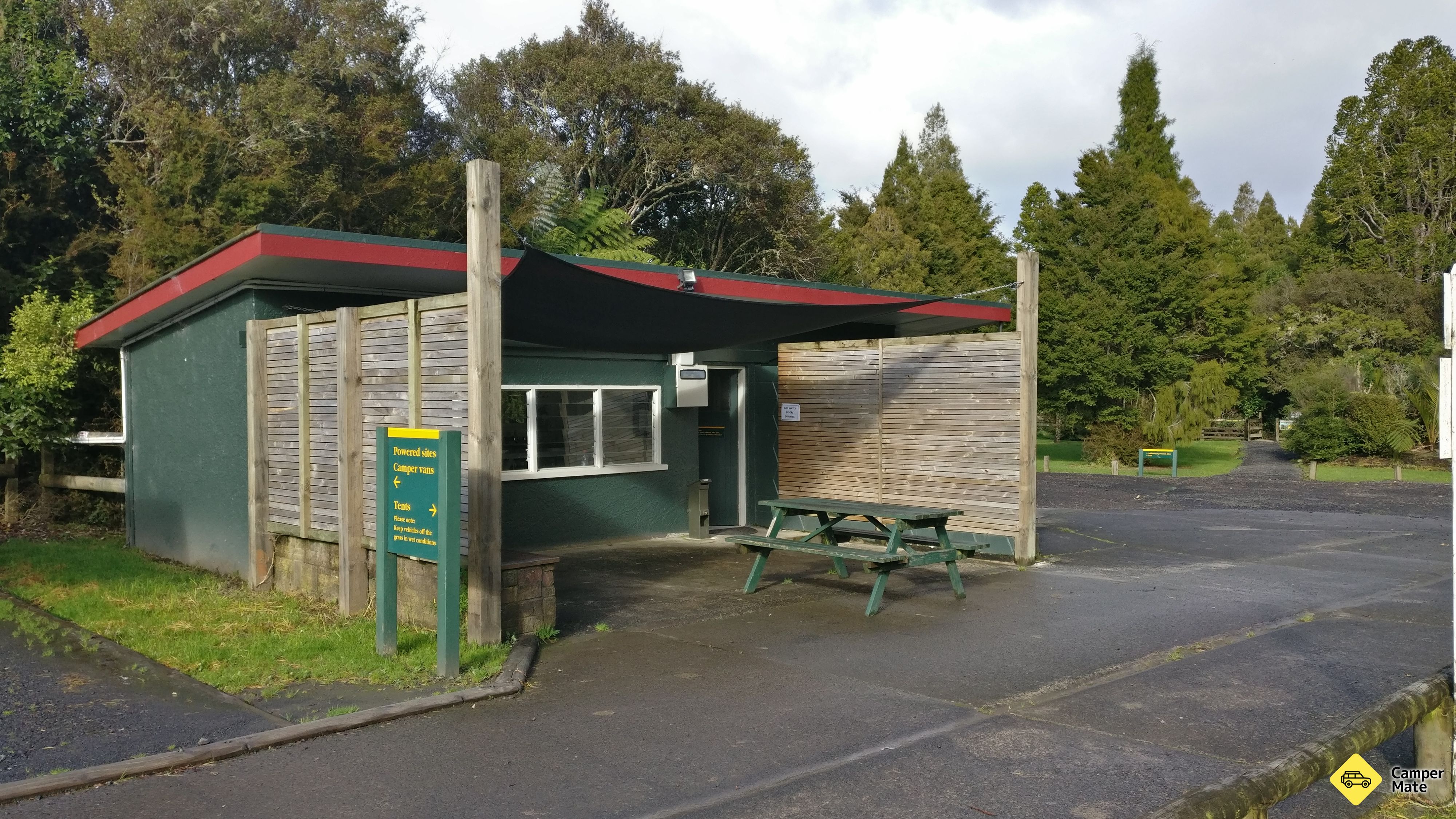 Trounson Kauri Park Campground - Image 2