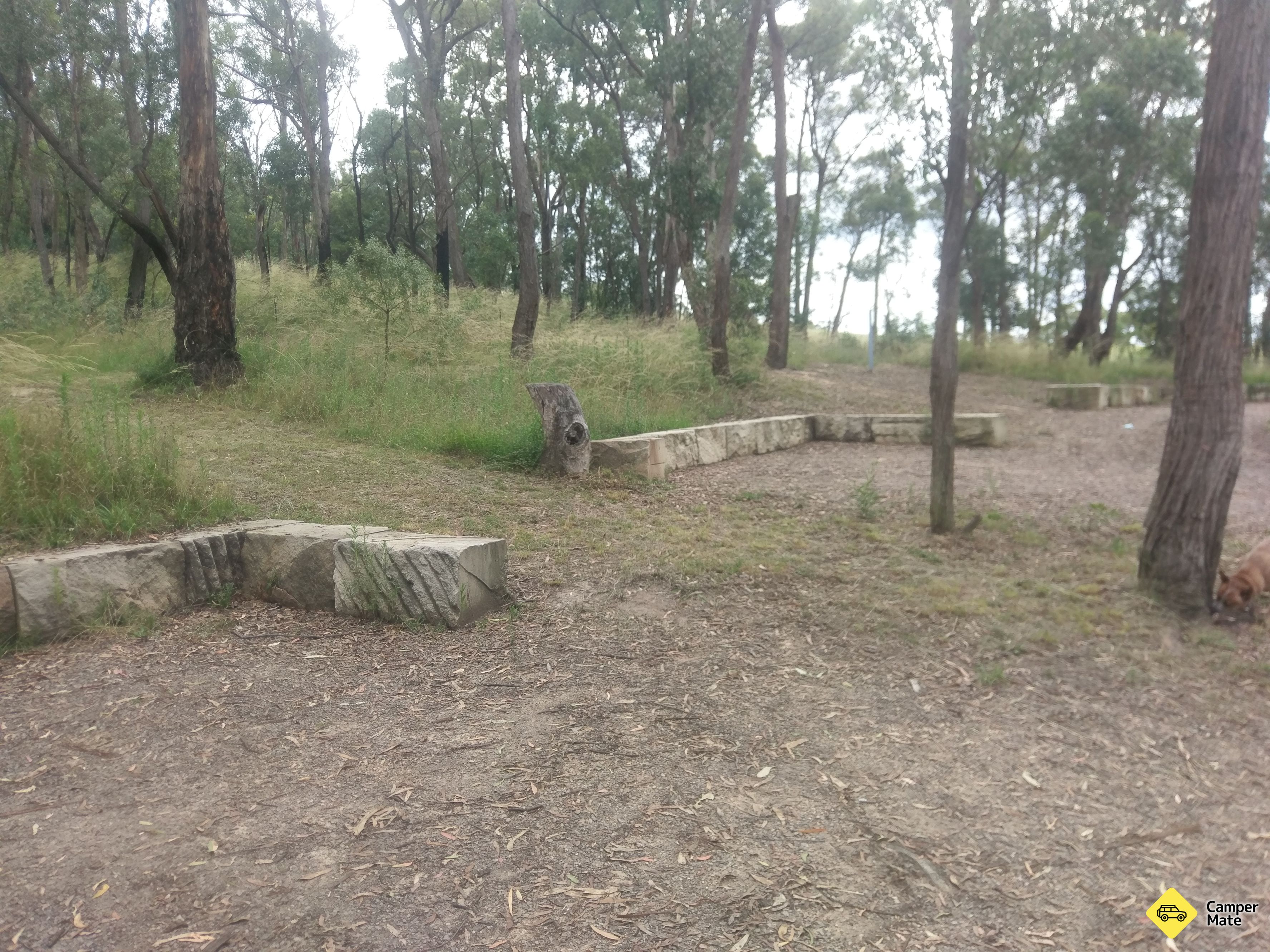 Lockyers Head Track campground - Image 2