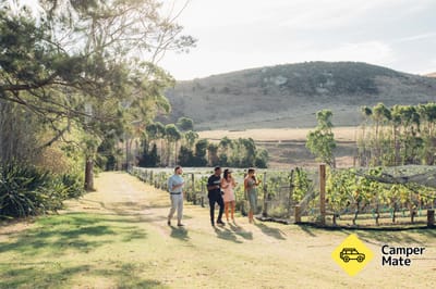 El viñedo de Stonyridge