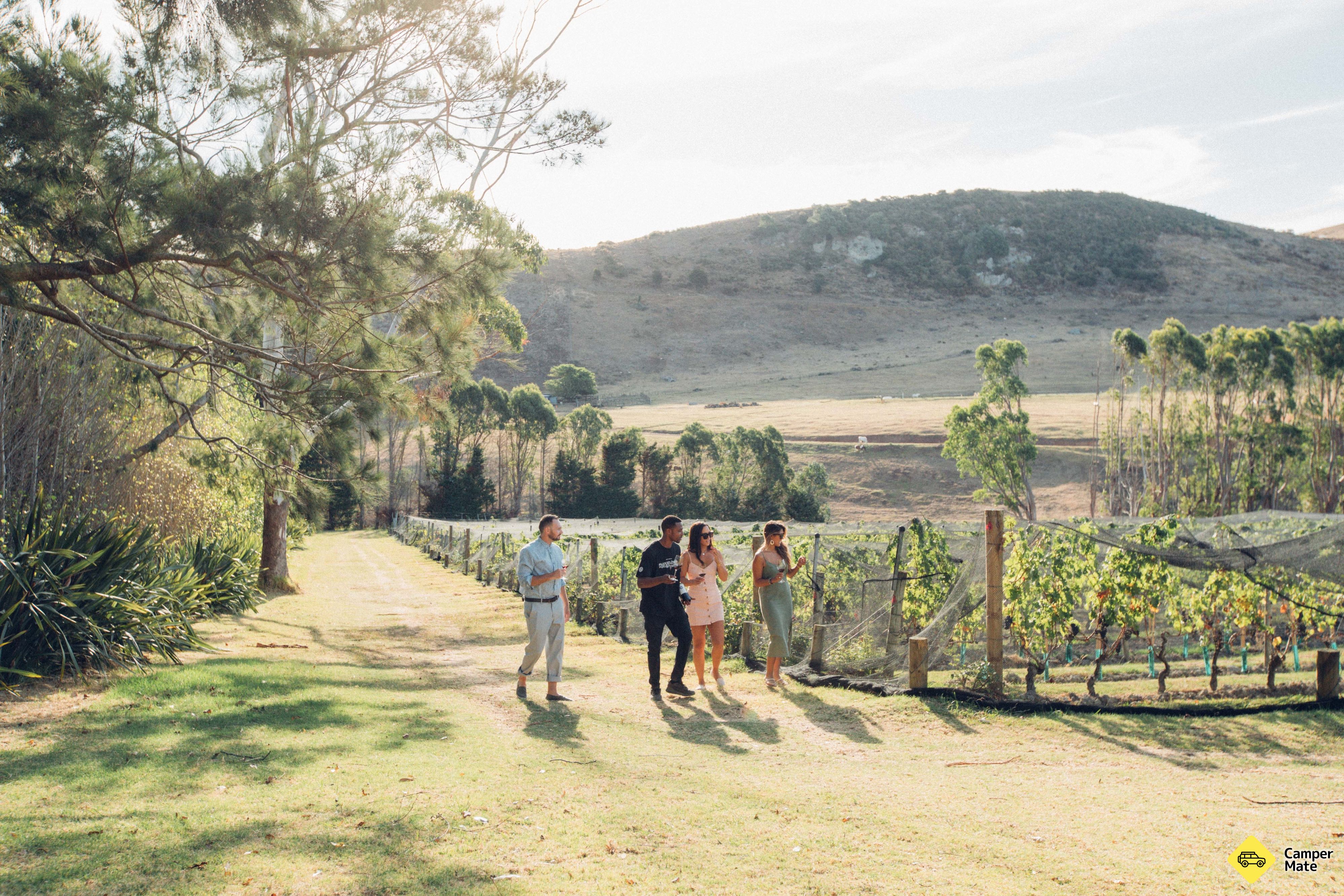 El viñedo de Stonyridge