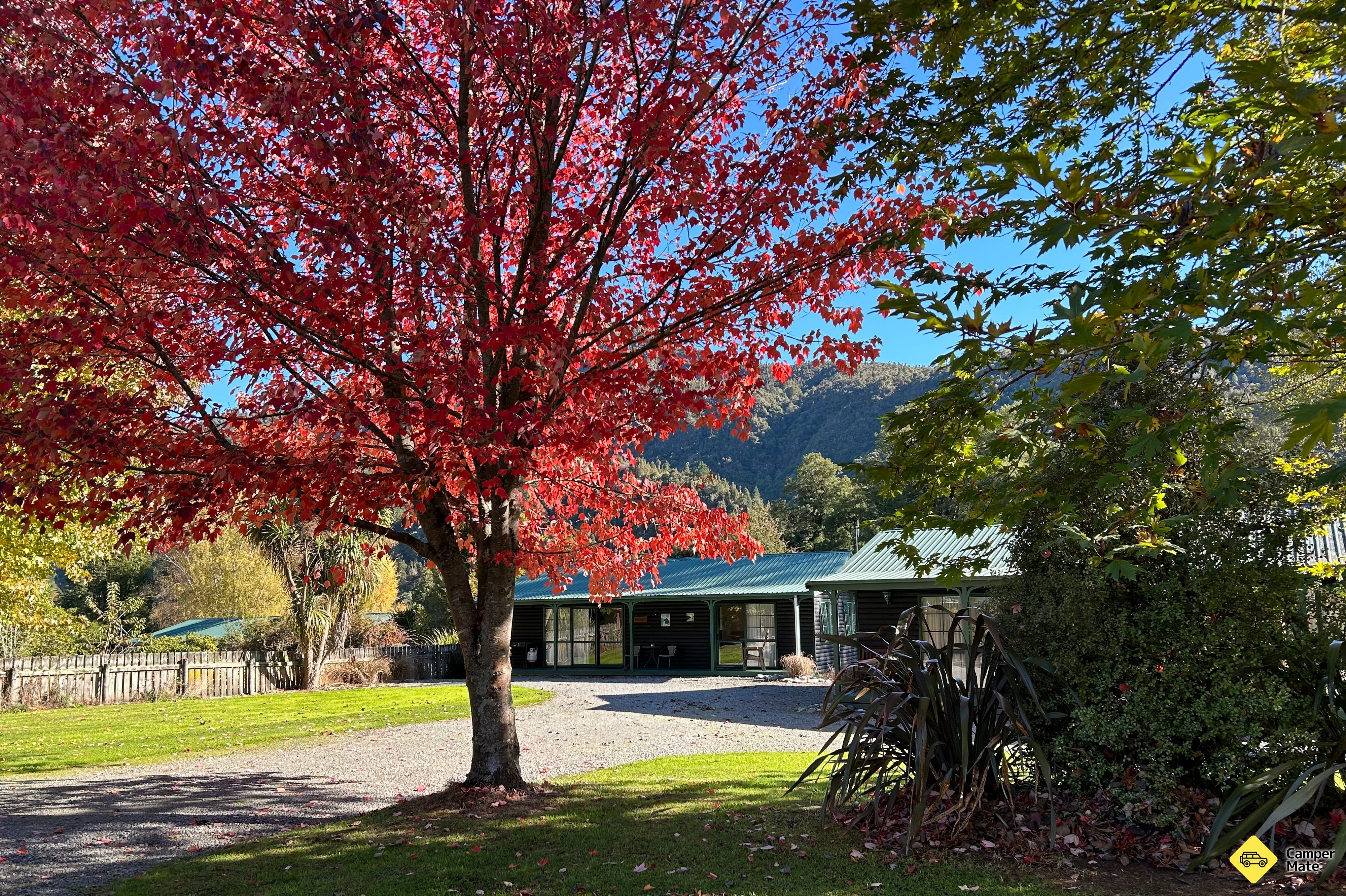 Kiwi Park Motels and Holiday Park - Image 2