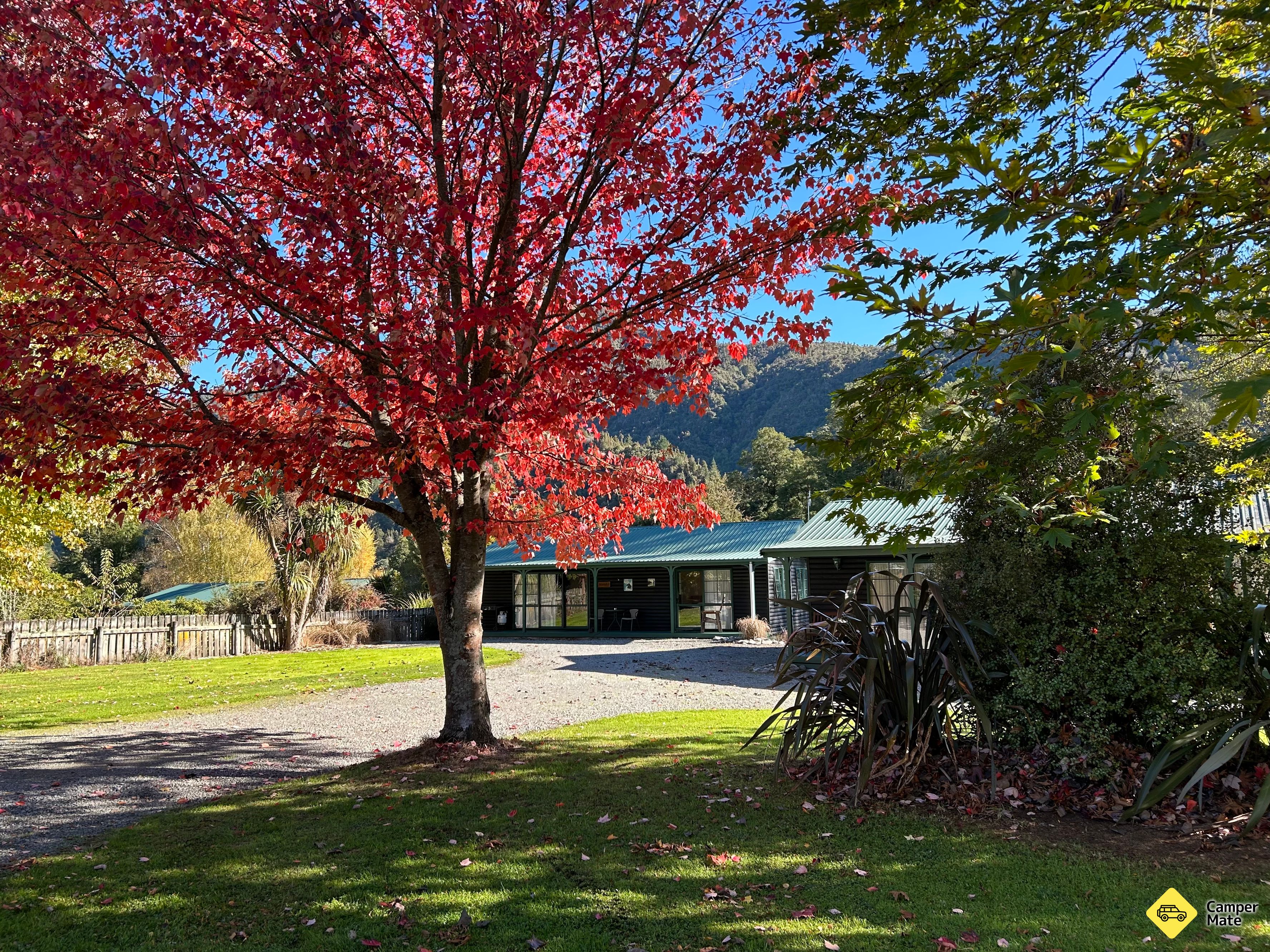 Kiwi Park Motels and Holiday Park - Image 2