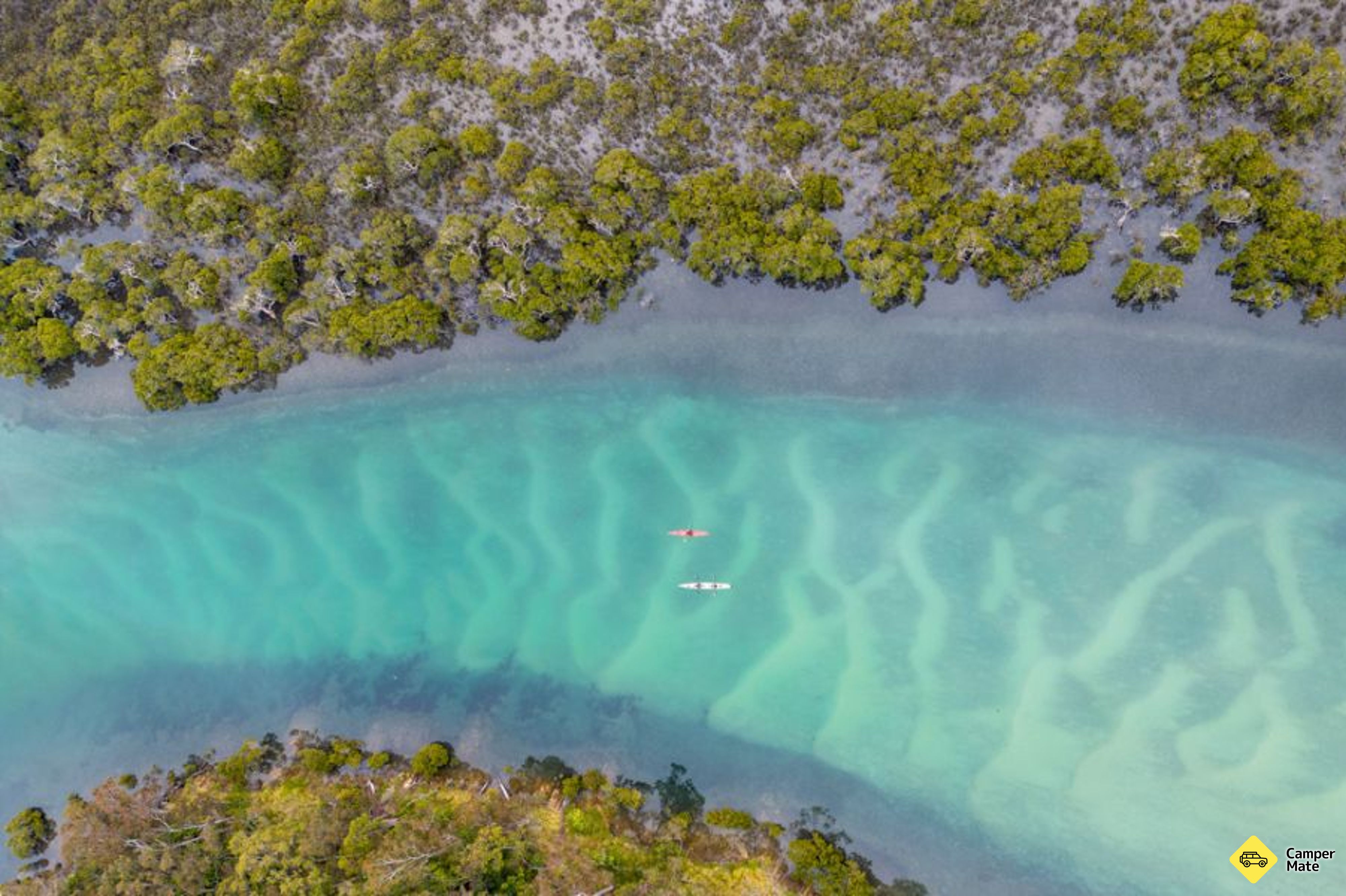 Batemans Bay Kayak & Snorkel Tour - Image 2