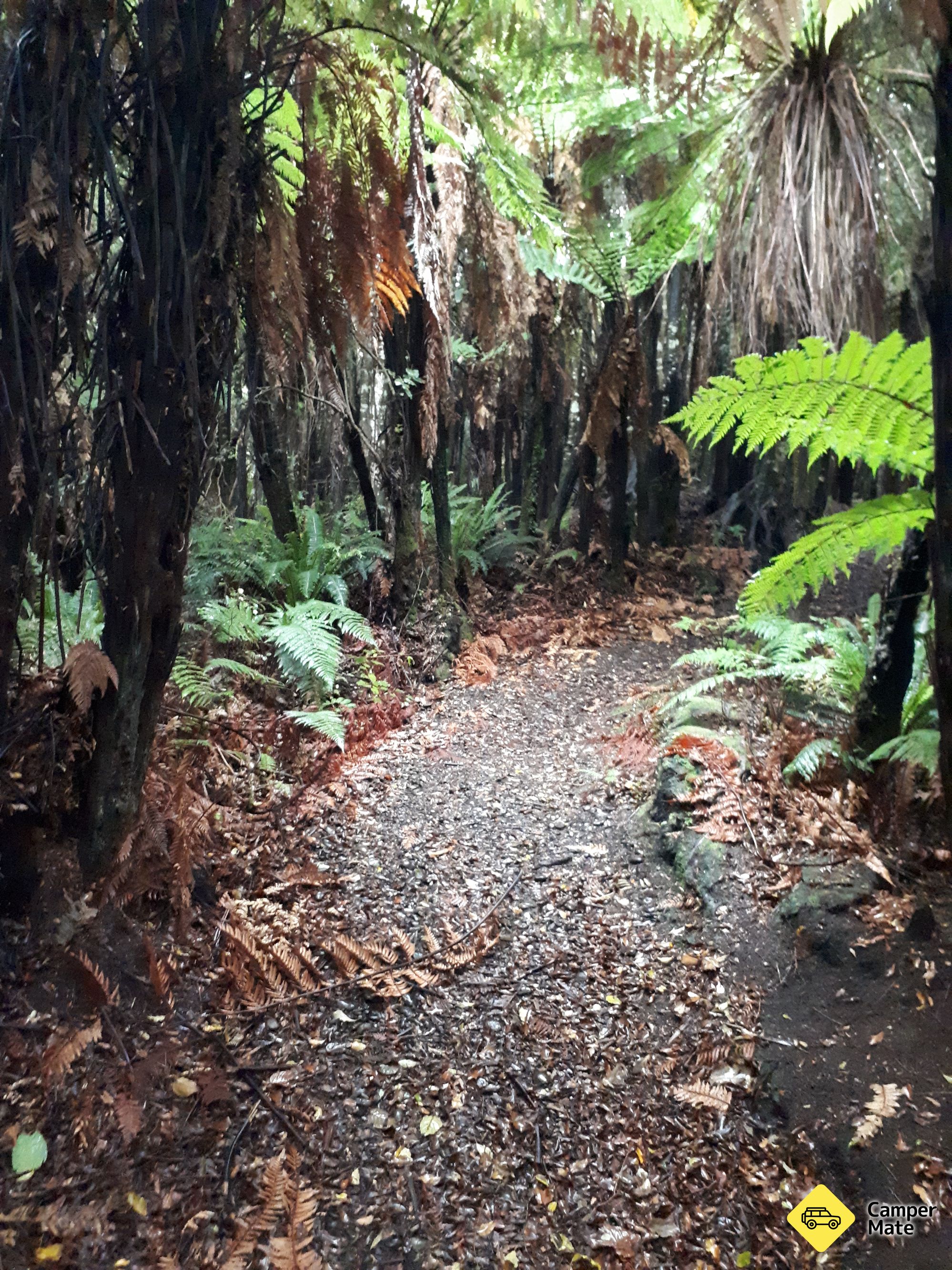 רכבת הליכה Longhilly Walking Track
