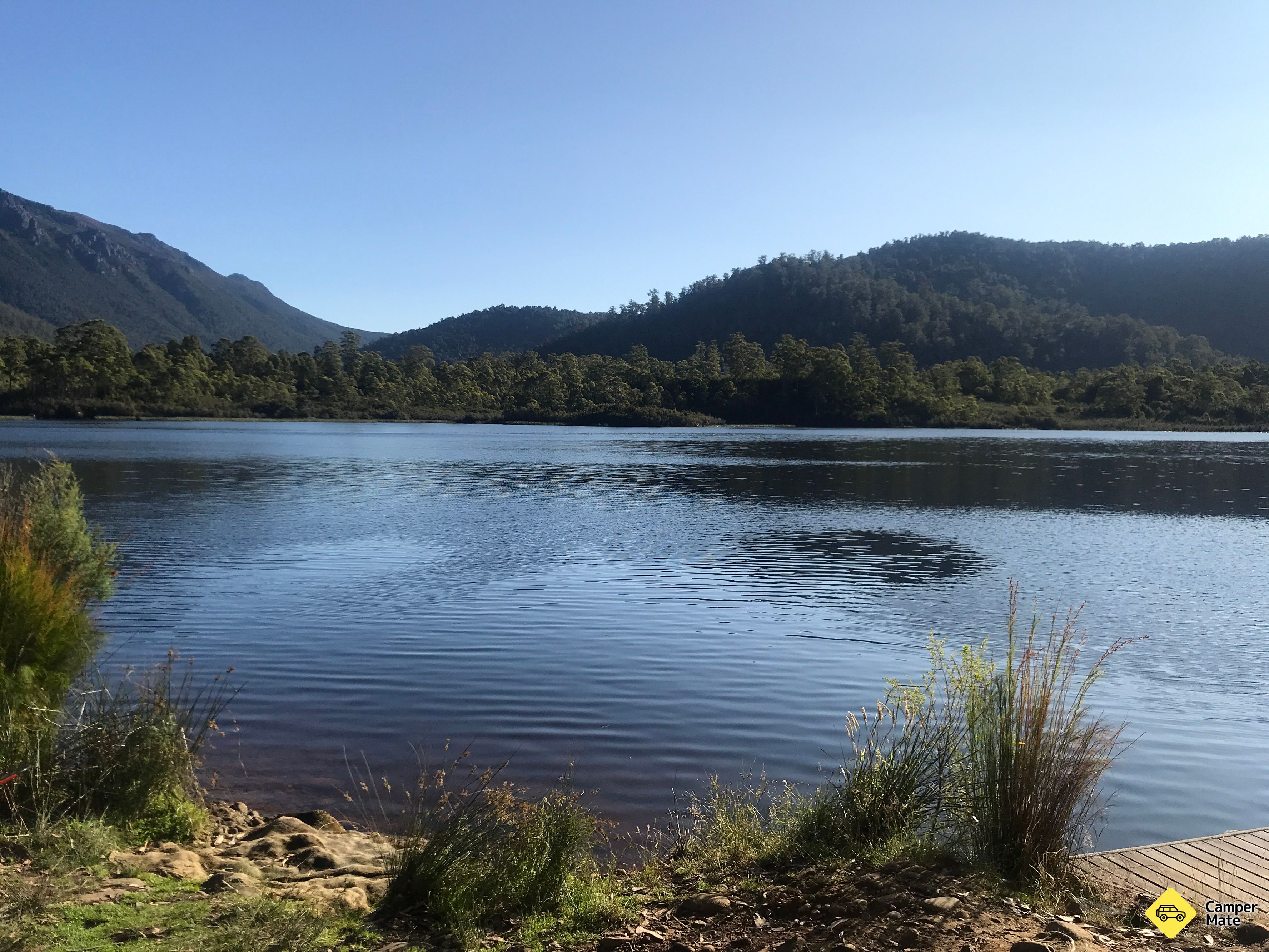 Lake Rosebery Foreshore - Image 3