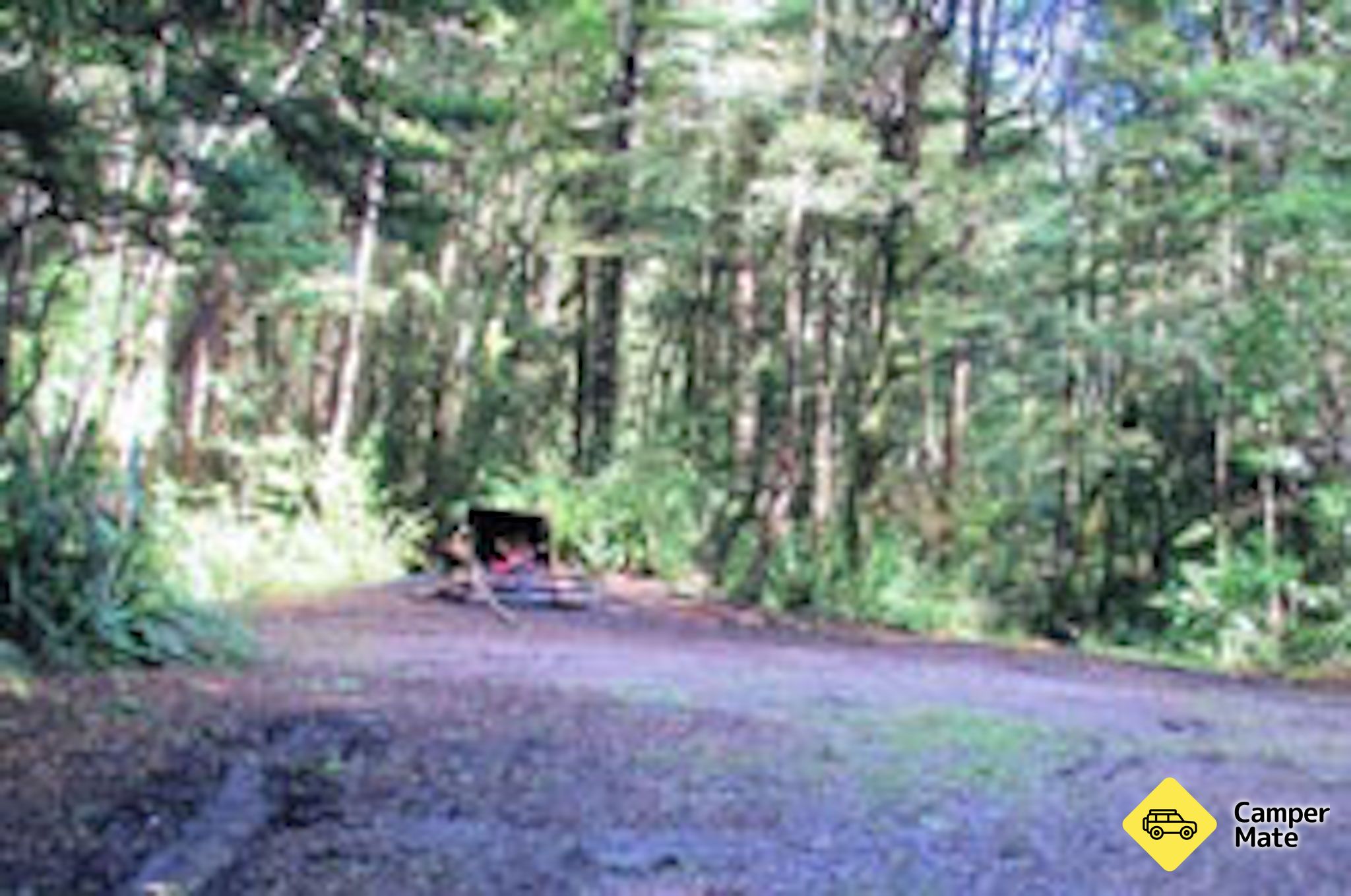 Kakapo Campsite - Image 2