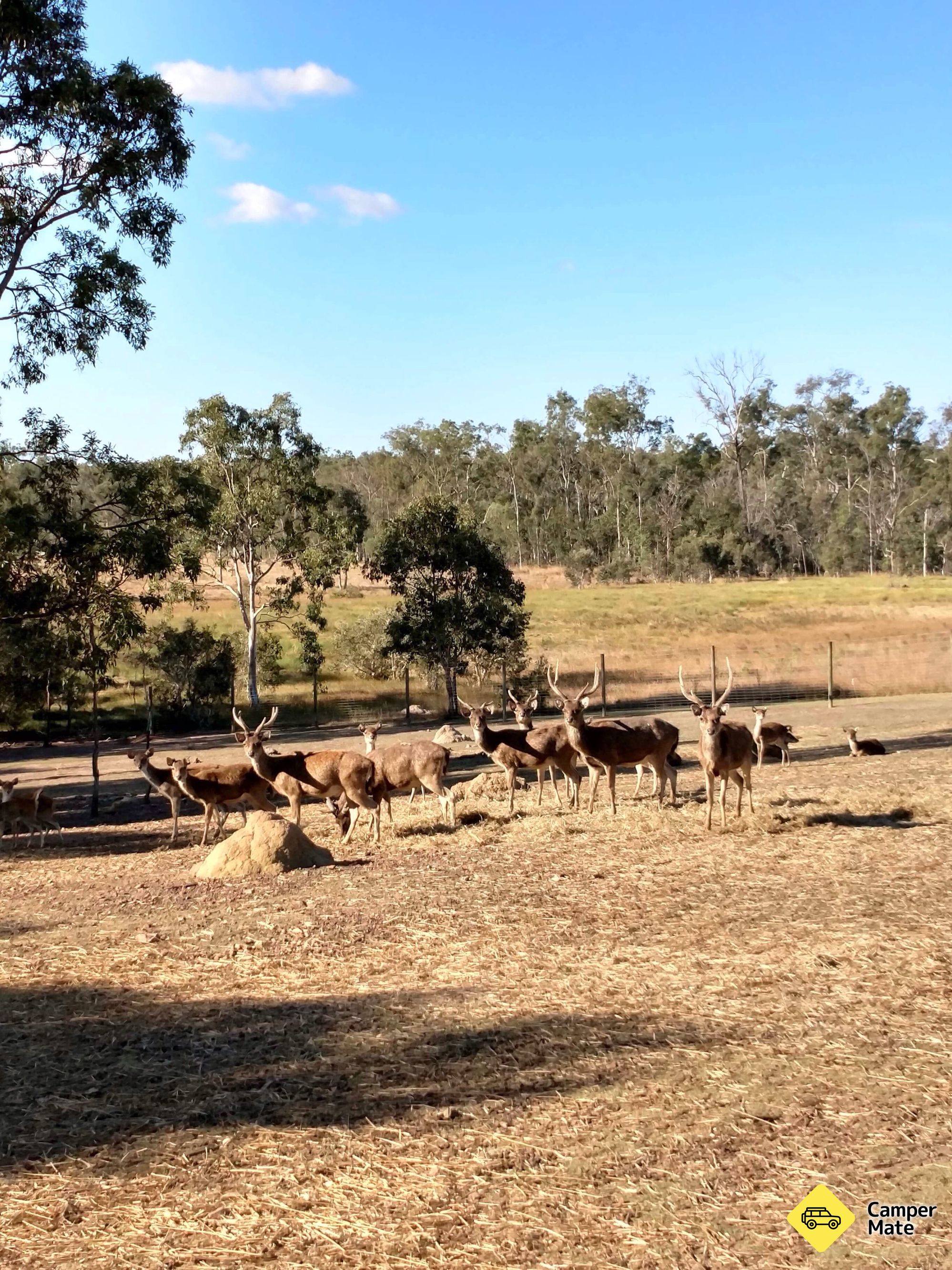 Lake Redbrook Holiday Retreat - Image 3