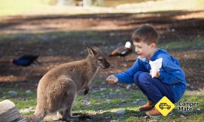 Willowbank Wildlife Reserve के बारे में राय