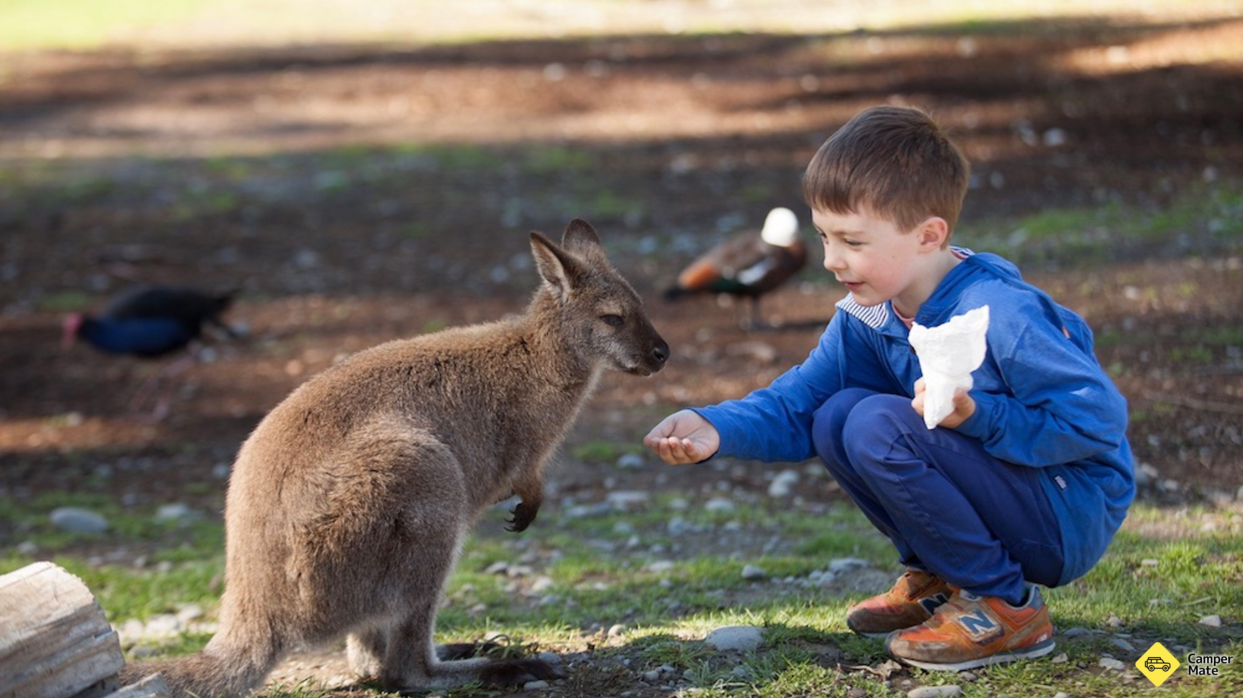 Willowbank Wildlife Reserve