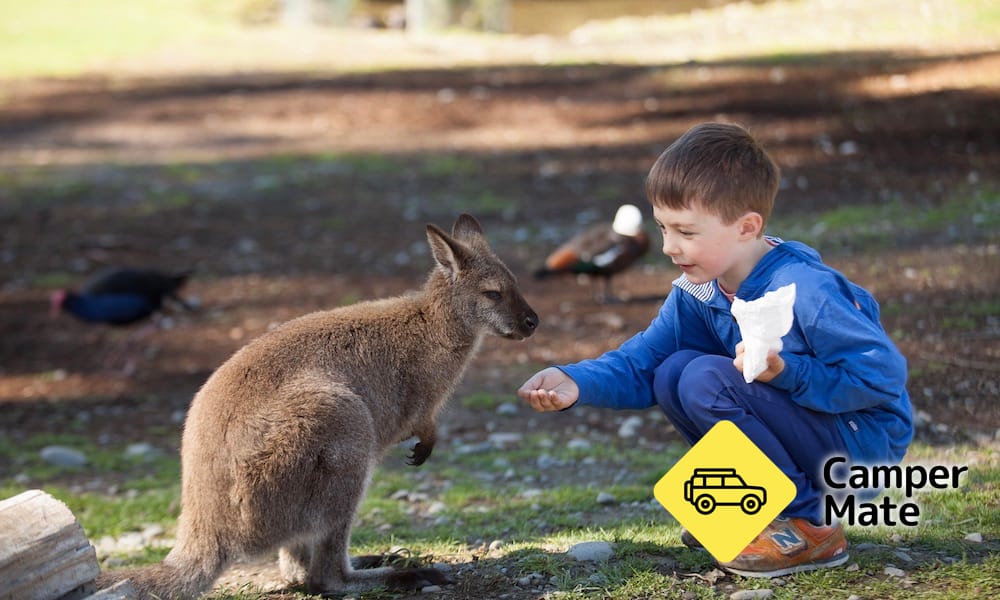 Willowbank Wildlife Reserve के बारे में राय