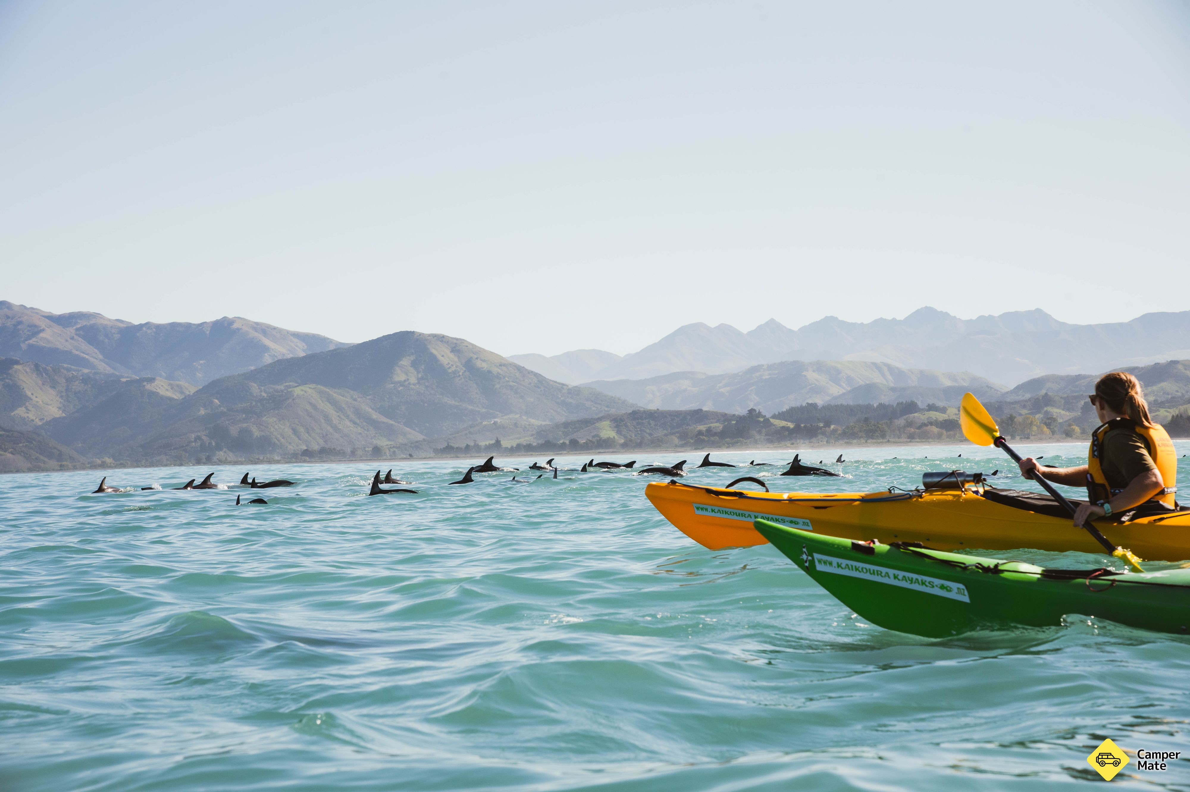 Kaikoura Kayaks - Image 2
