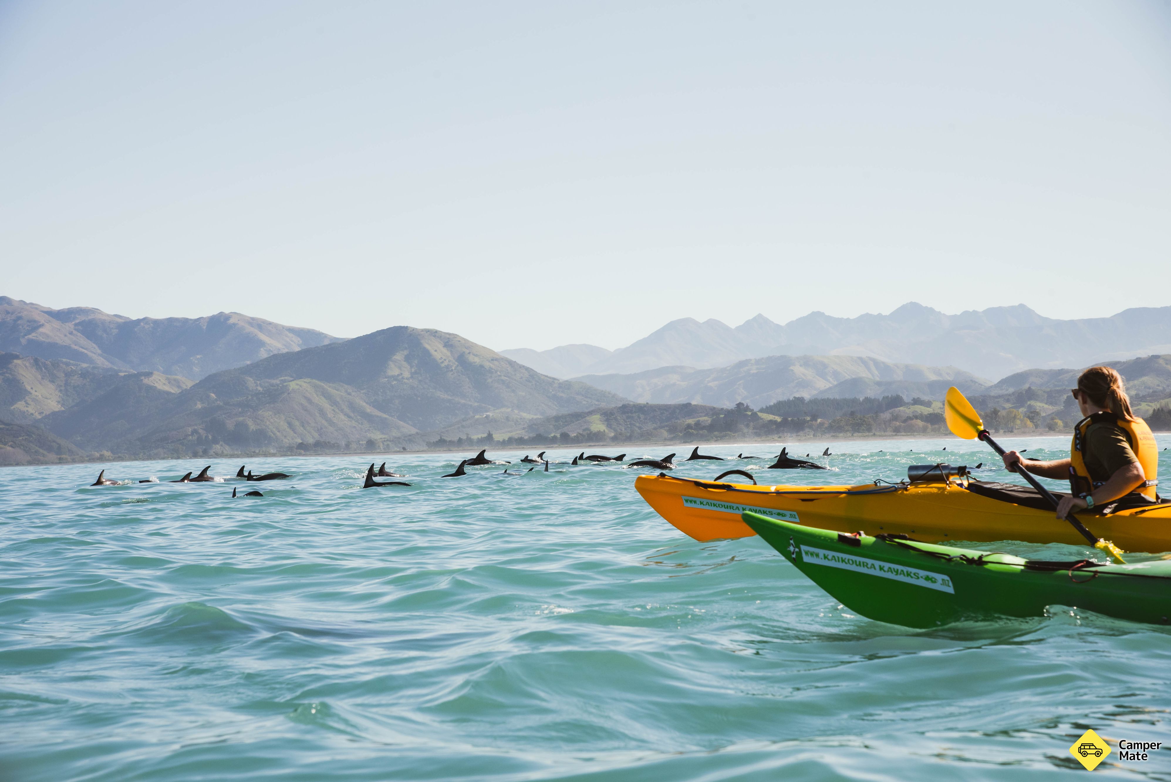 Kaikoura Kayaks - Image 2