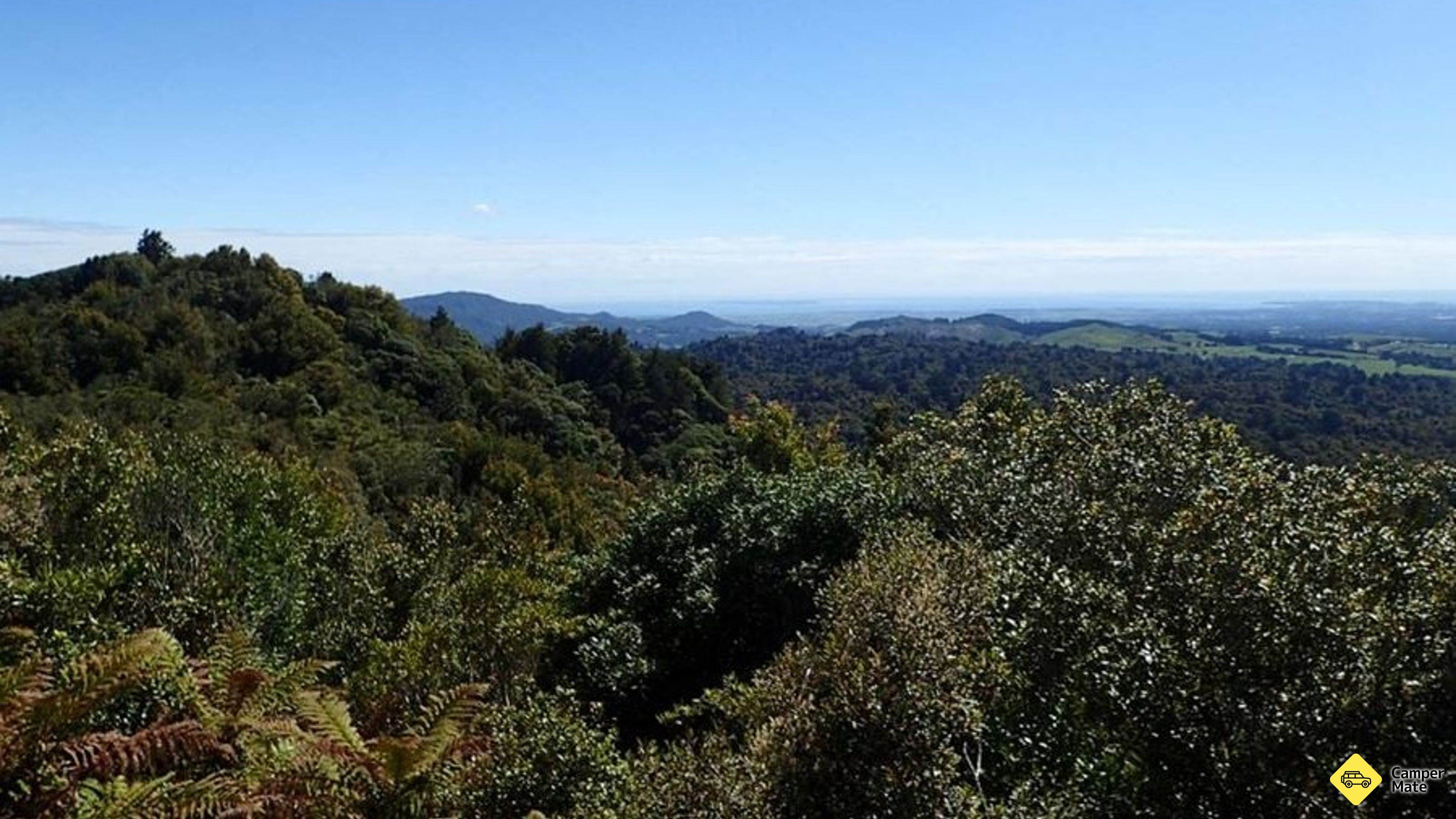 Otanewainuku Lookout Track