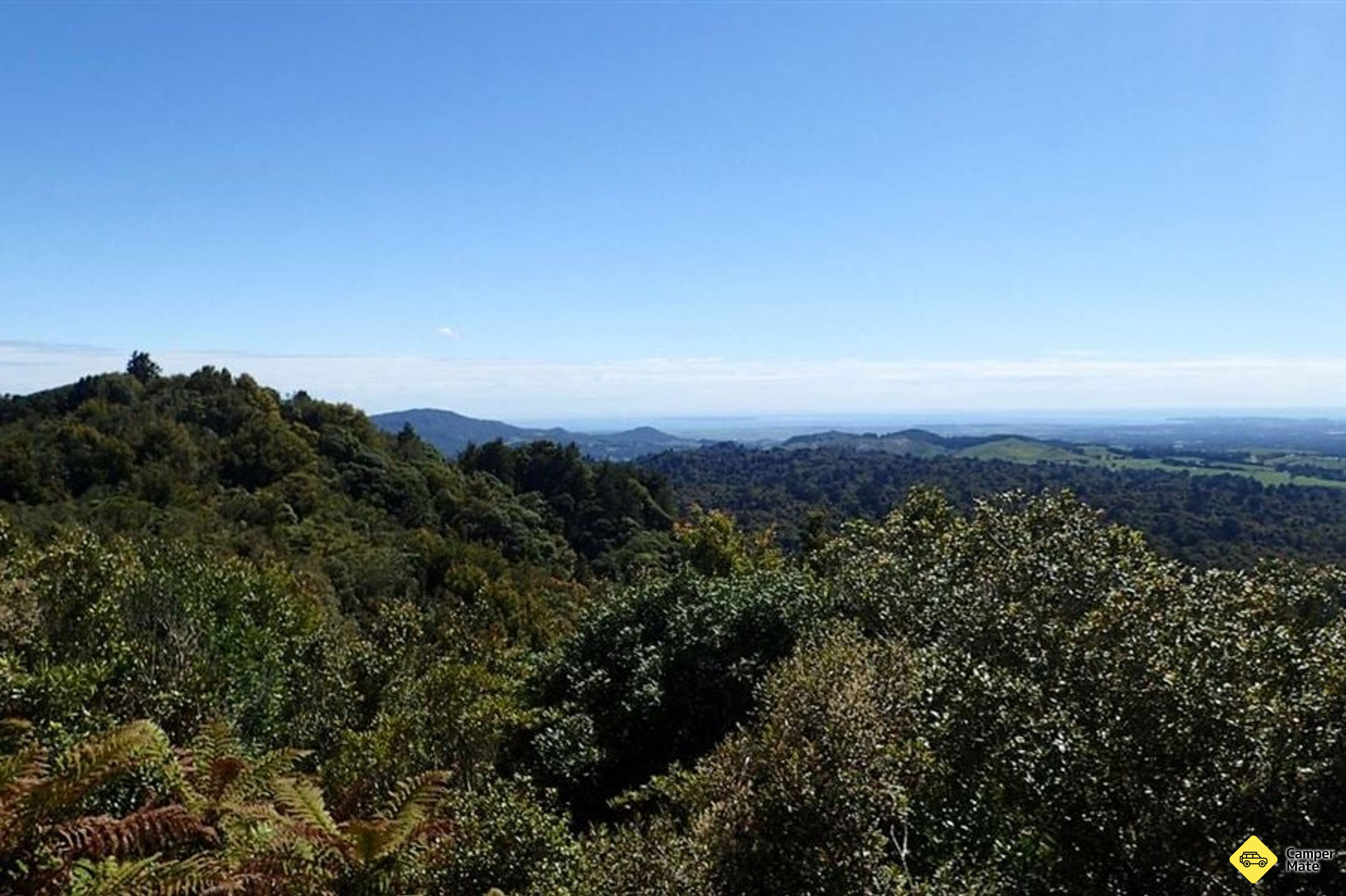 Otanewainuku Lookout Track