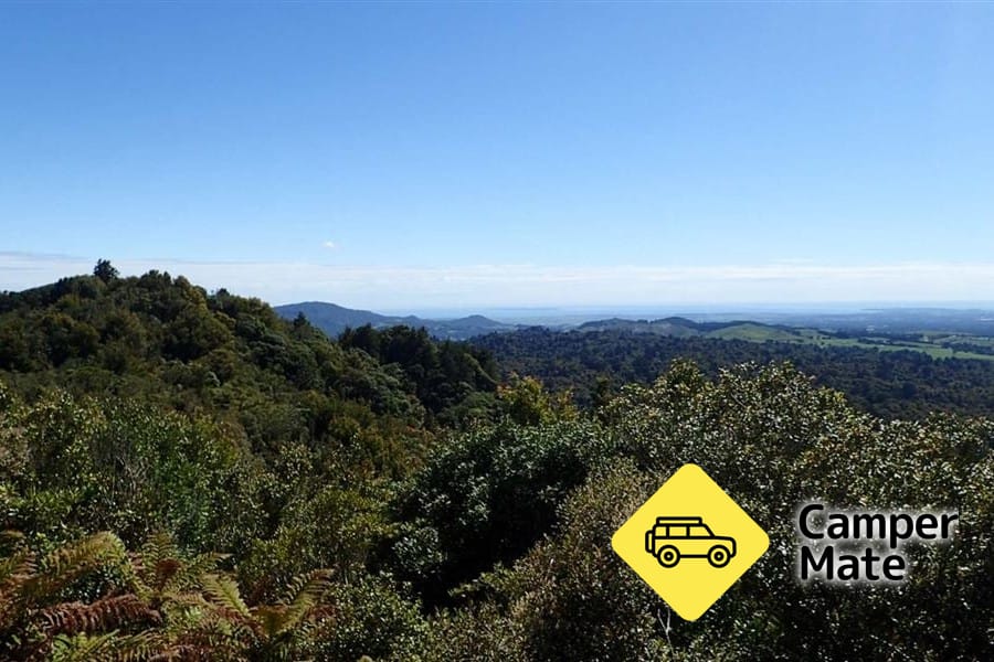 Otanewainuku Lookout Track