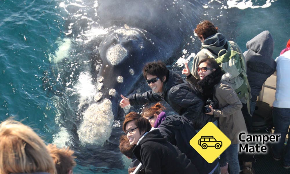 Kaart van Dunsborough Whale Watching Cruise