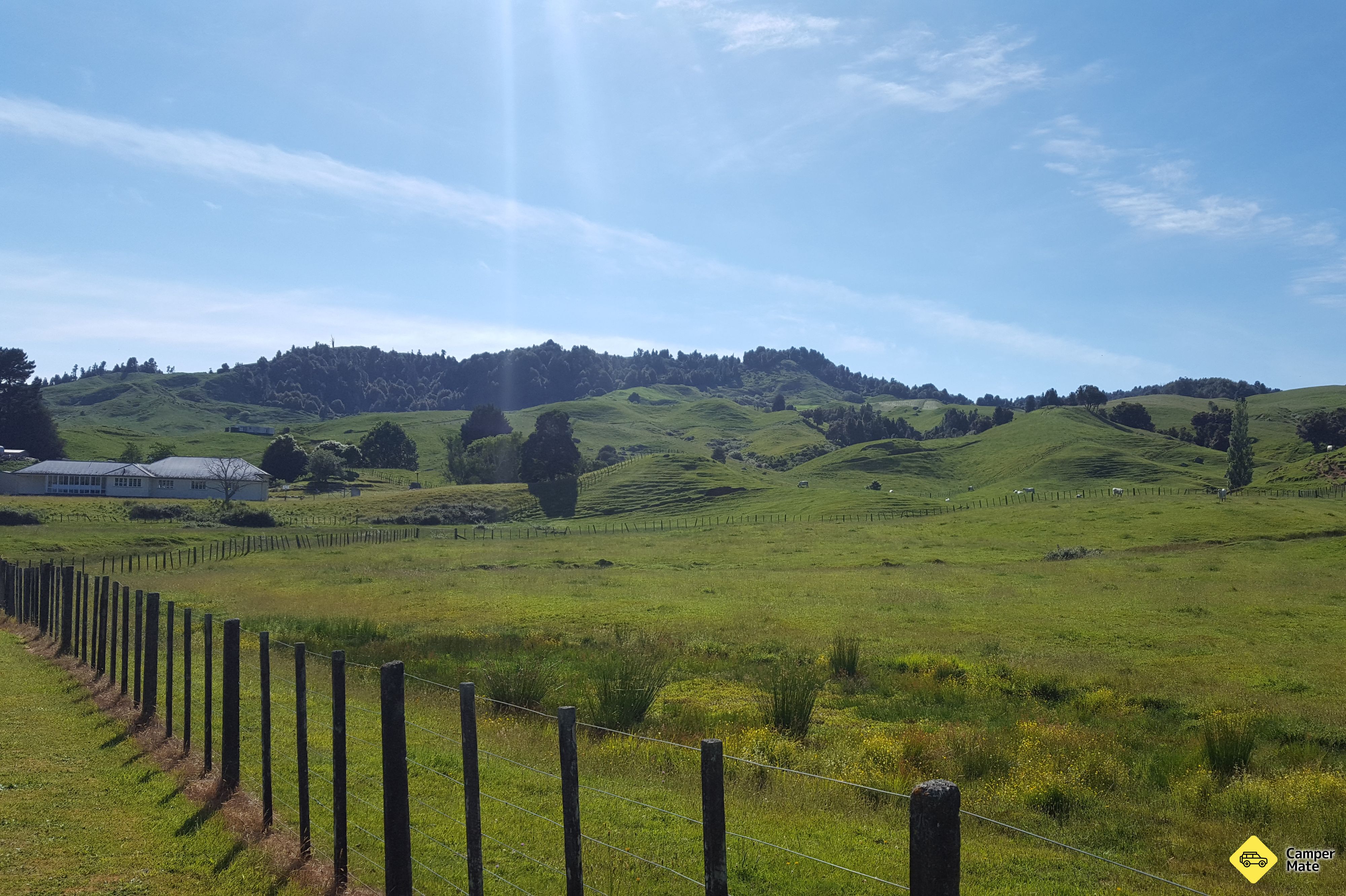 Benneydale Domain - Image 2