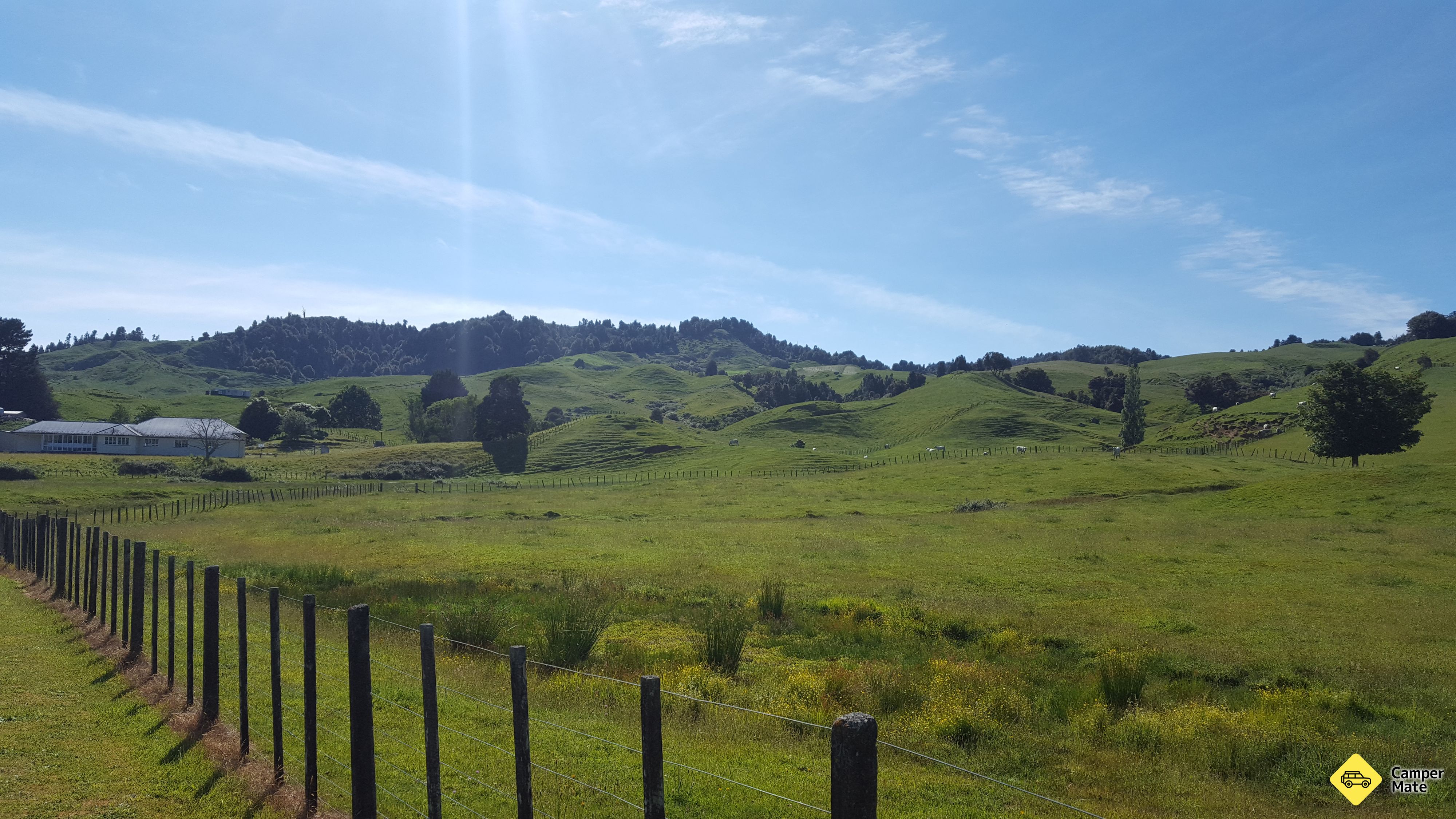 Benneydale Domain - Image 2