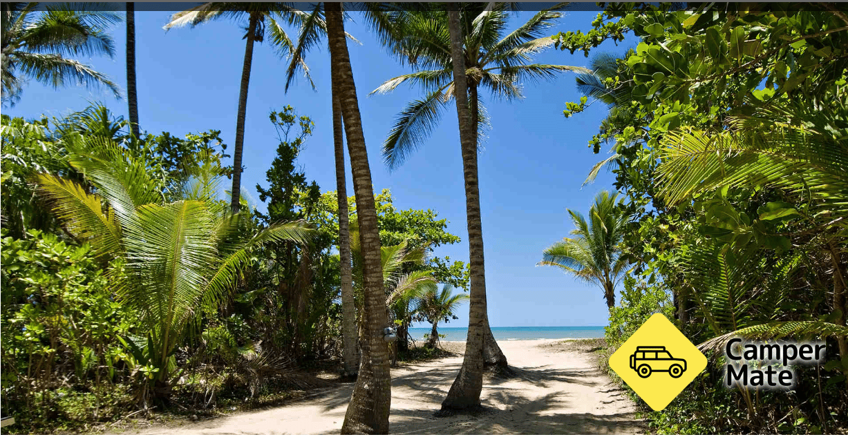 Activiteiten in de omgeving van Daintree Beach Resort - Image 2