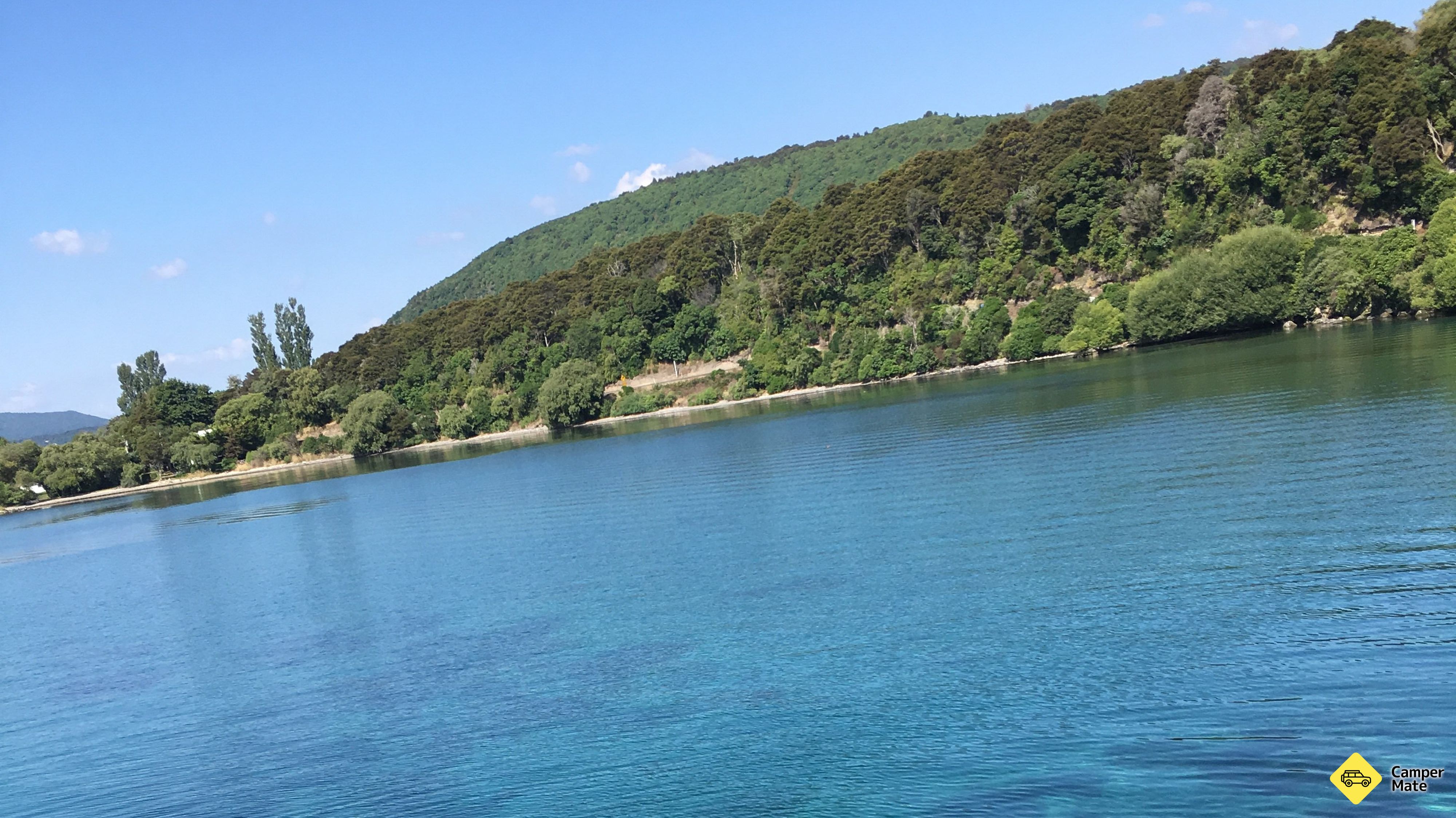 Bulli Point