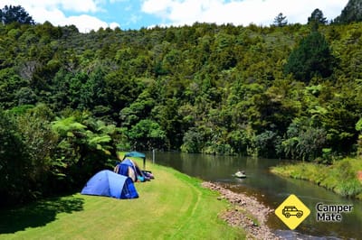 Restauracje w pobliżu Kauri Coast Top 10 Holiday Park