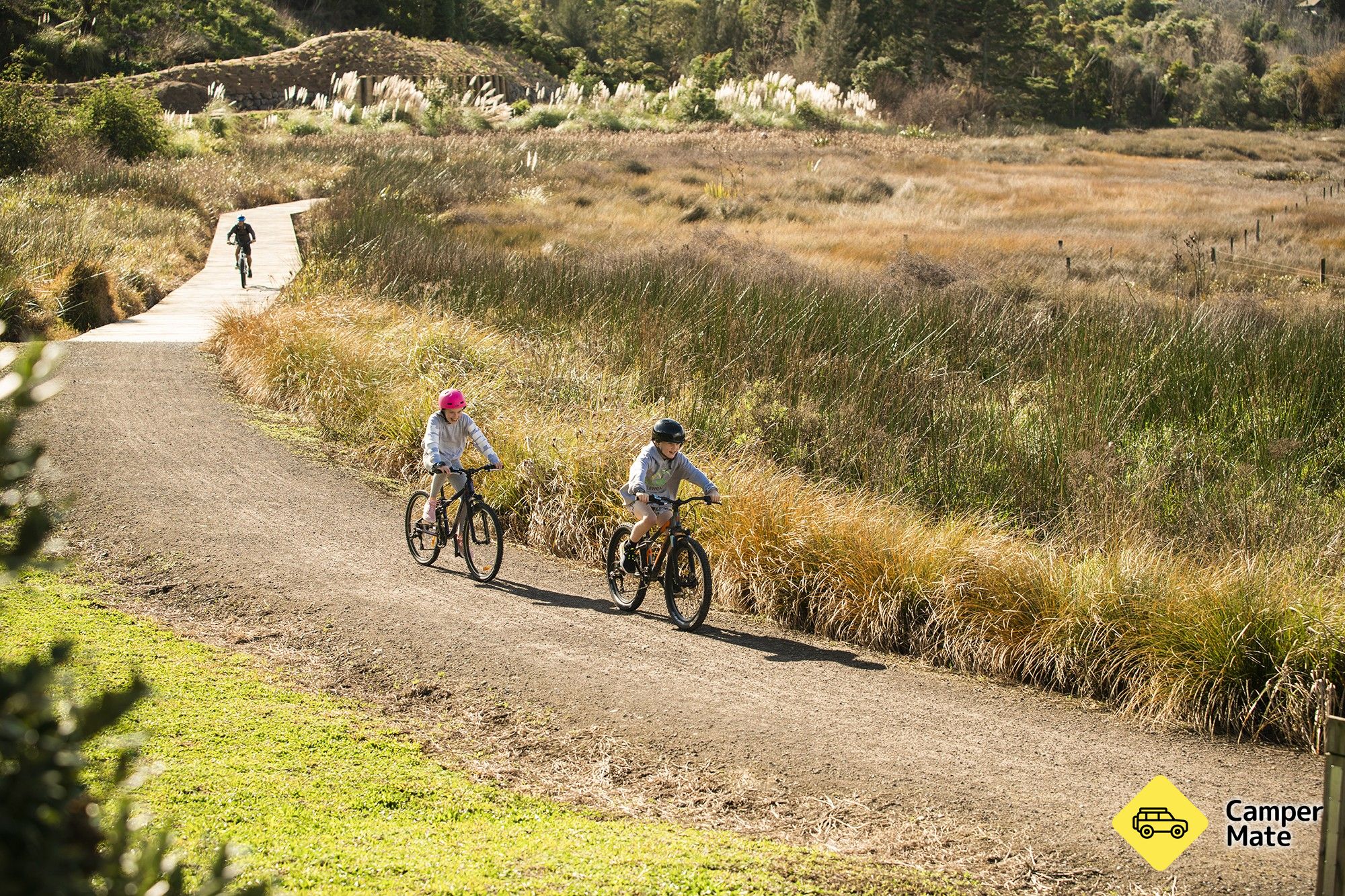 Omokoroa to Tauranga route - Image 2