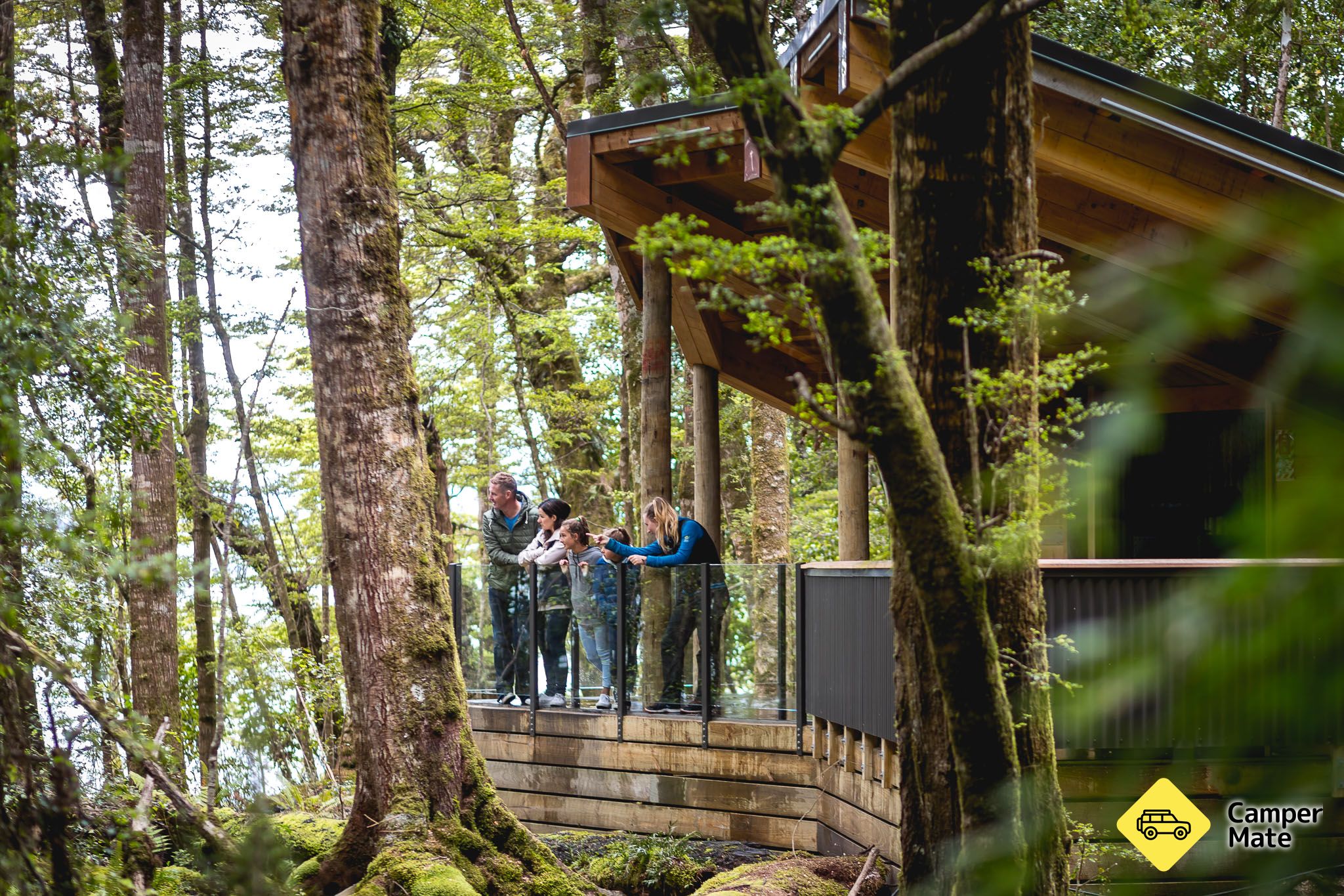 Télécharger Te Anau Glowworm Caves RealNZ - Image 2