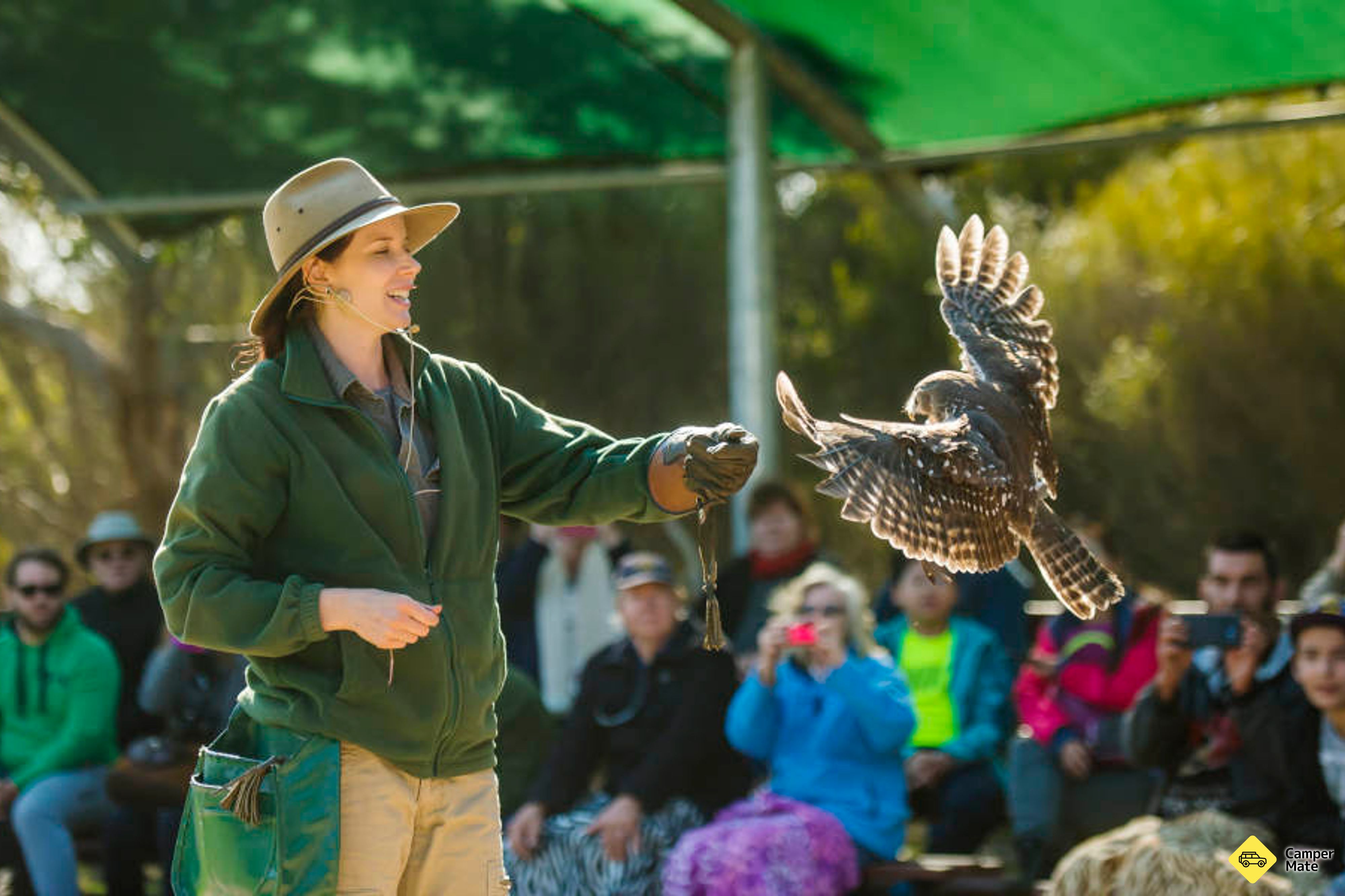 Kangaroo Island Full Day Tour - Image 3