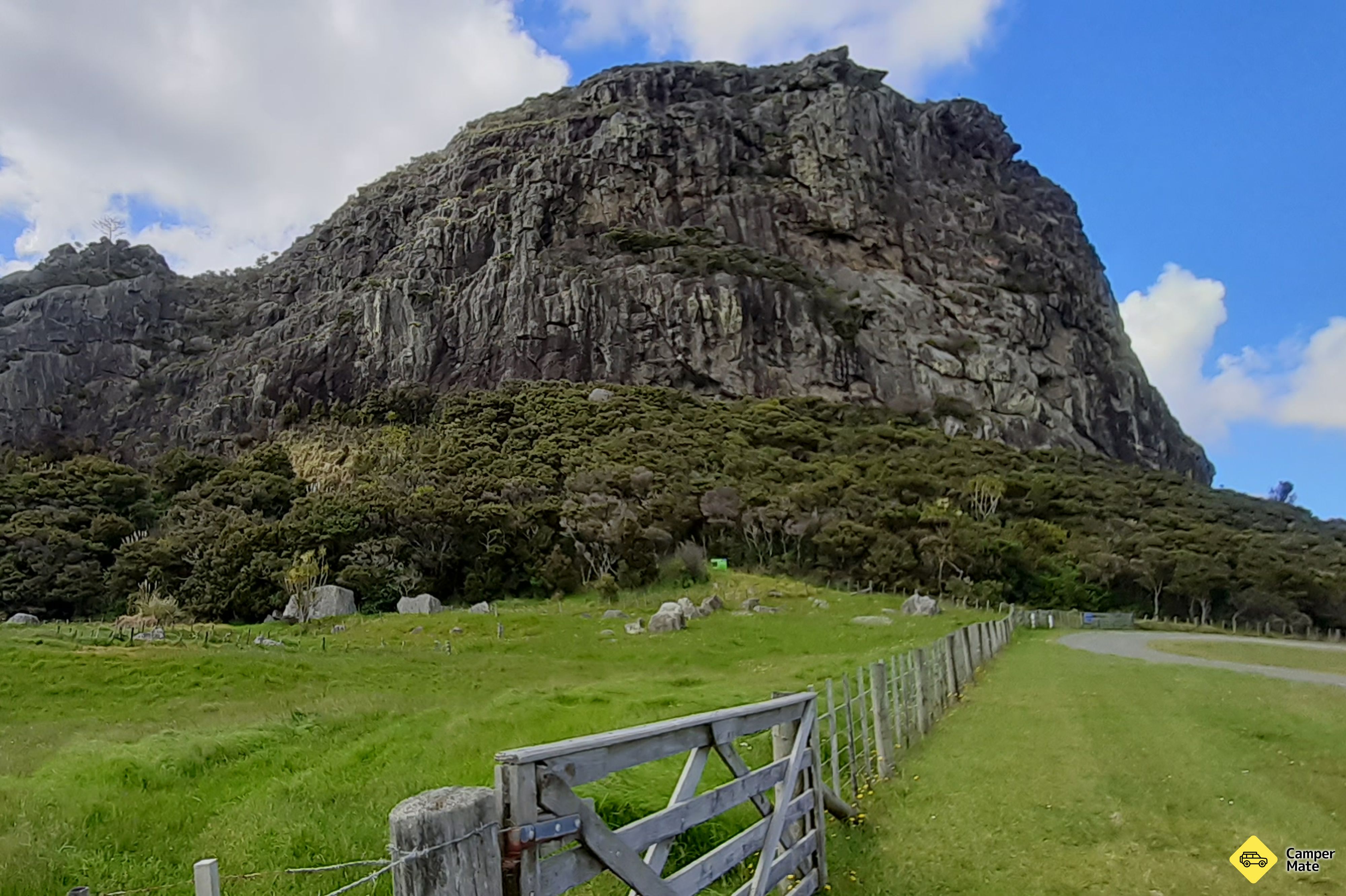 Maungaraho Rock - Image 3