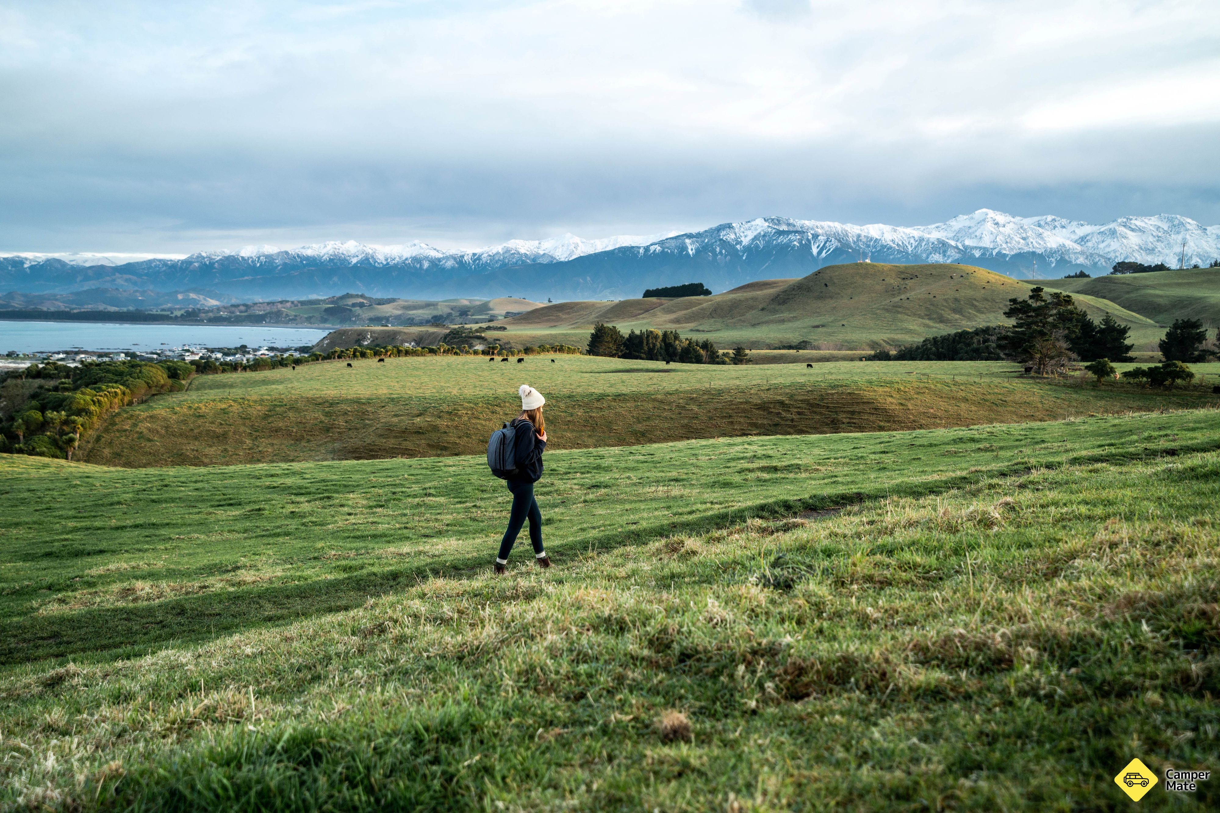 Kaikoura Peninsula Walkway - Image 3