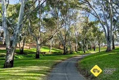 Trail du parc linéaire de River Torrens