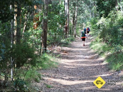 Cooloola Great Walk