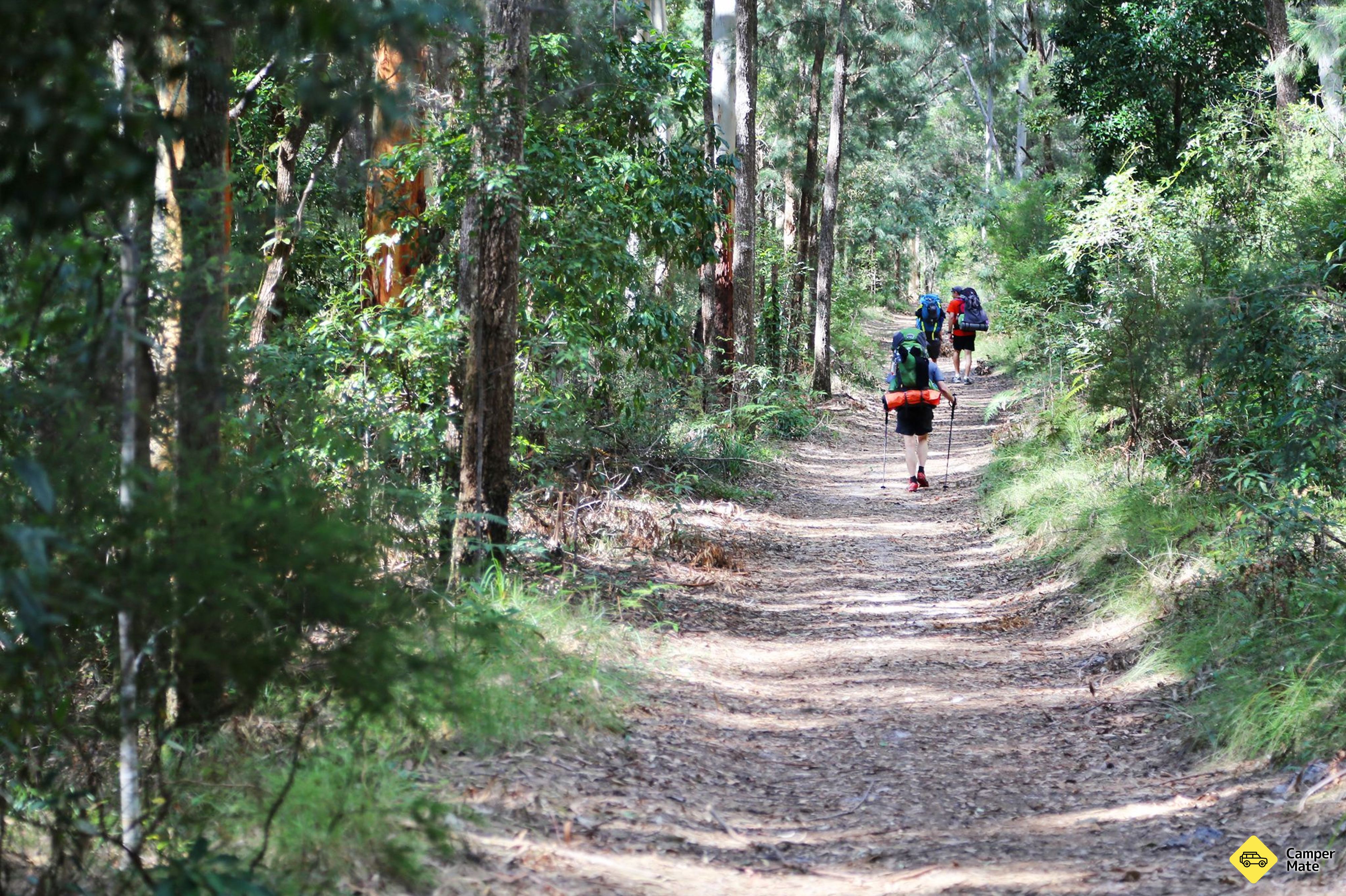 Cooloola Stor Walk