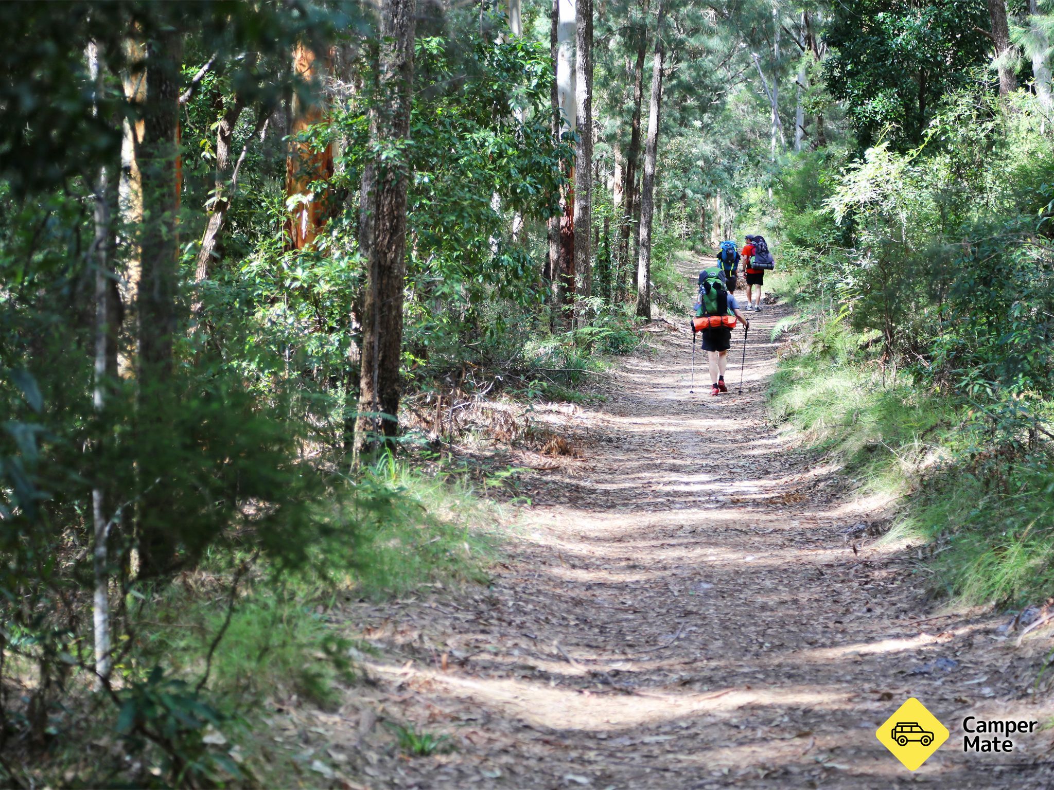 Cooloola Great Walk