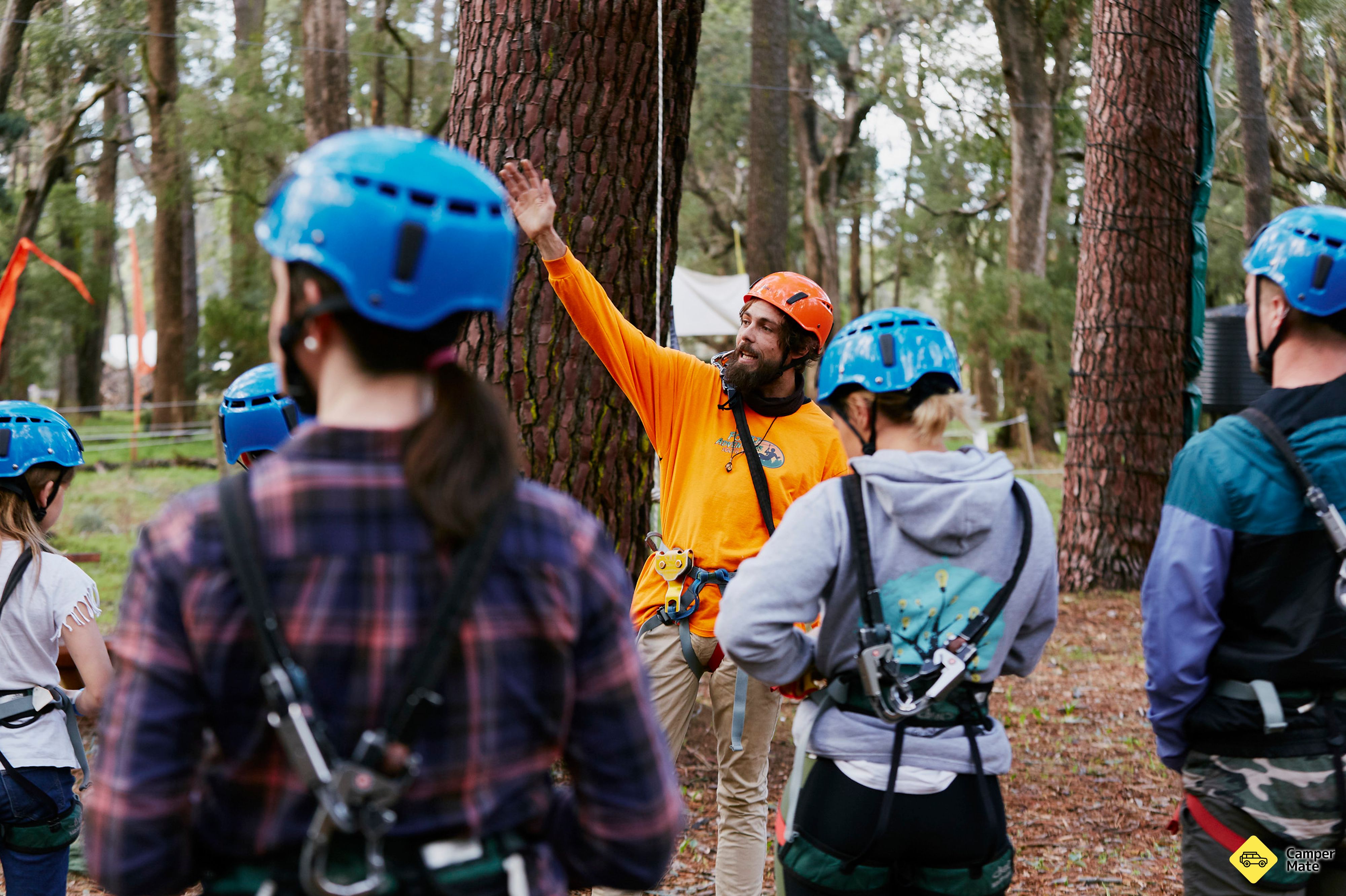 Лесные приключения High Ropes Course - Image 2